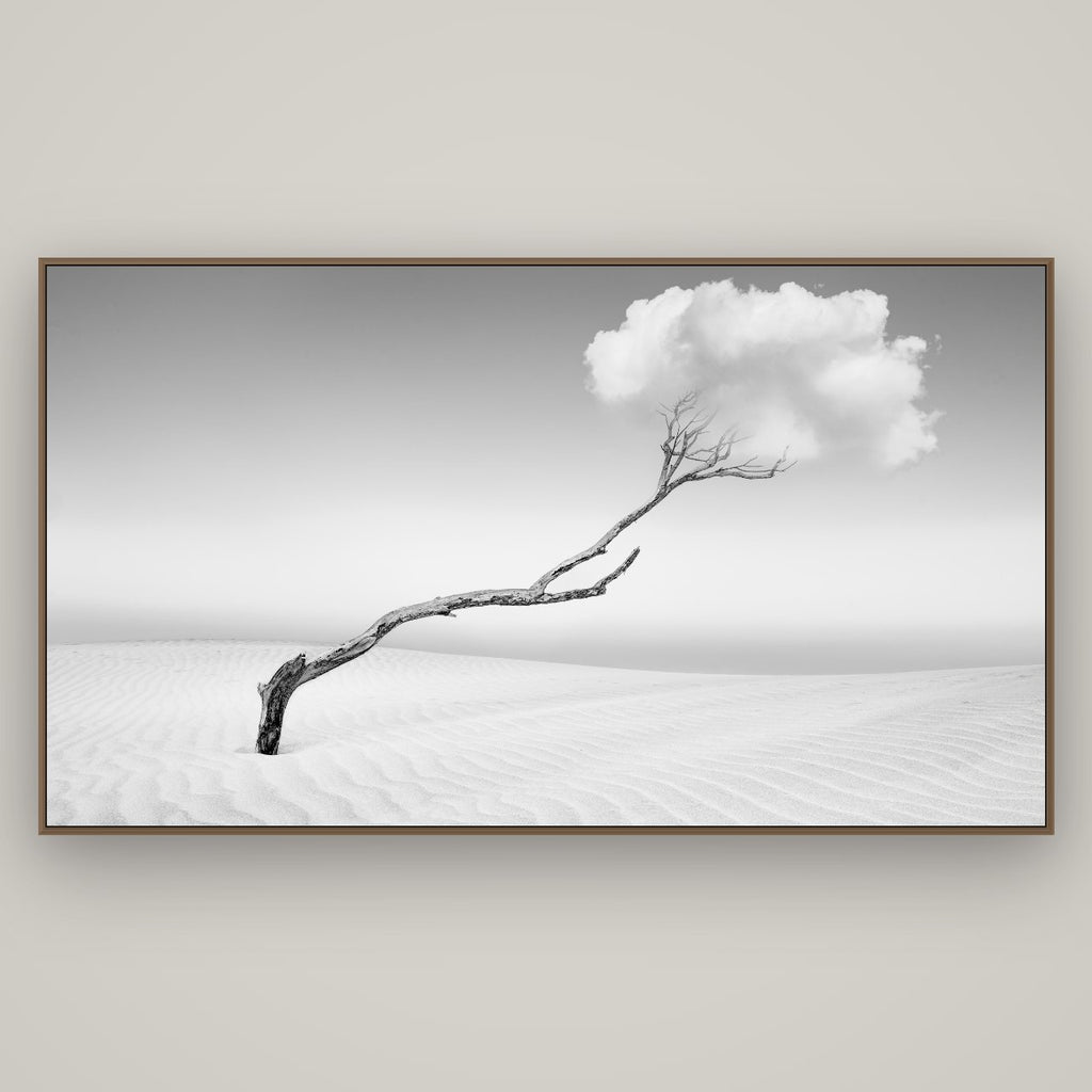 Holding On, Pouto Peninsula, Basel Walnut, 196×110 cm. New Zealand fine art wall art by Stephen Milner.