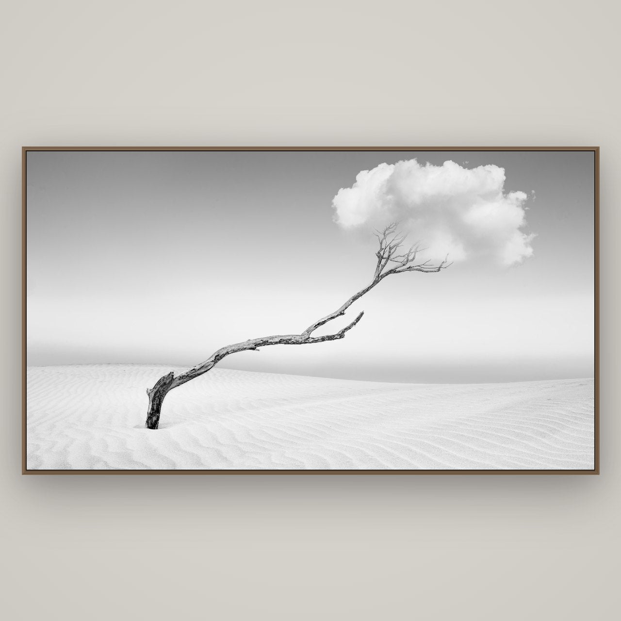 Holding On, Pouto Peninsula, Basel Walnut, 196×110 cm. New Zealand fine art wall art by Stephen Milner.