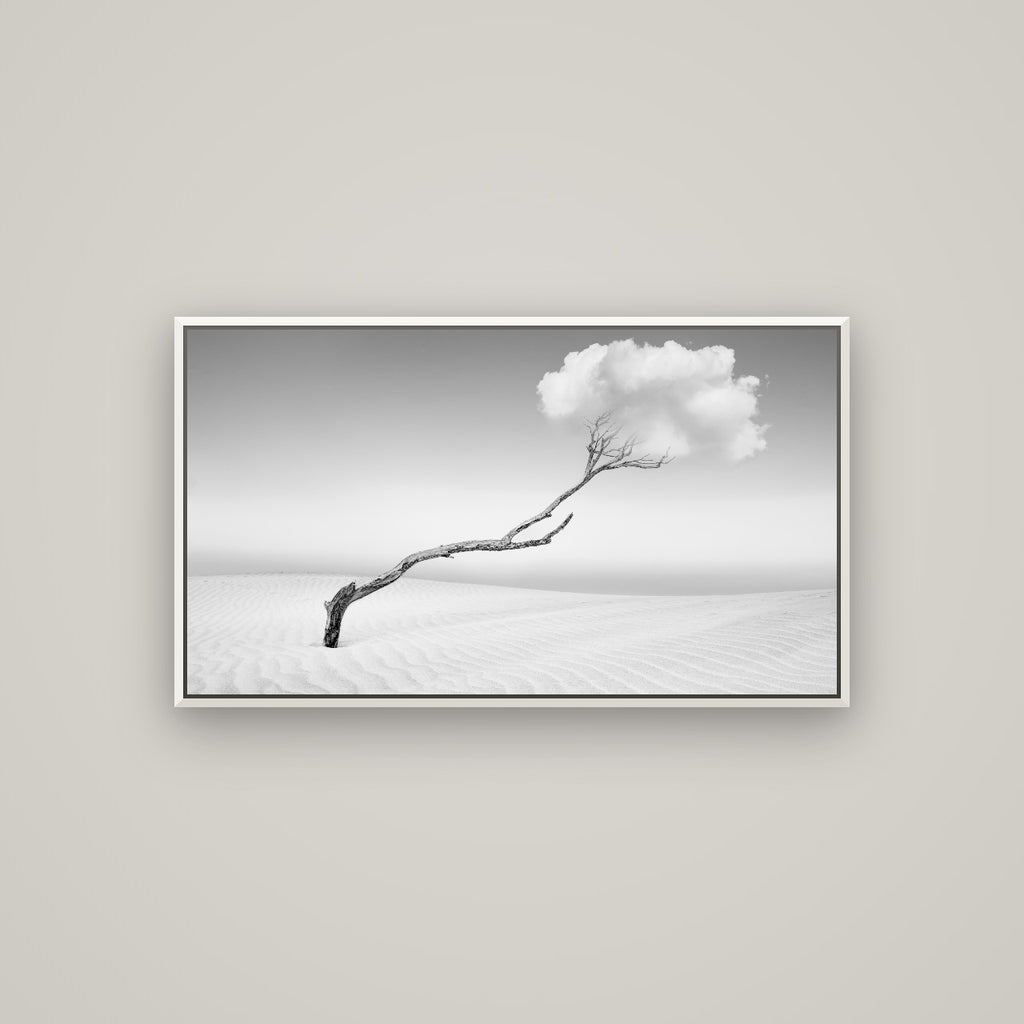 Holding On, Pouto Peninsula — Basel White, 107×60 cm. New Zealand fine art wall art by Stephen Milner.
