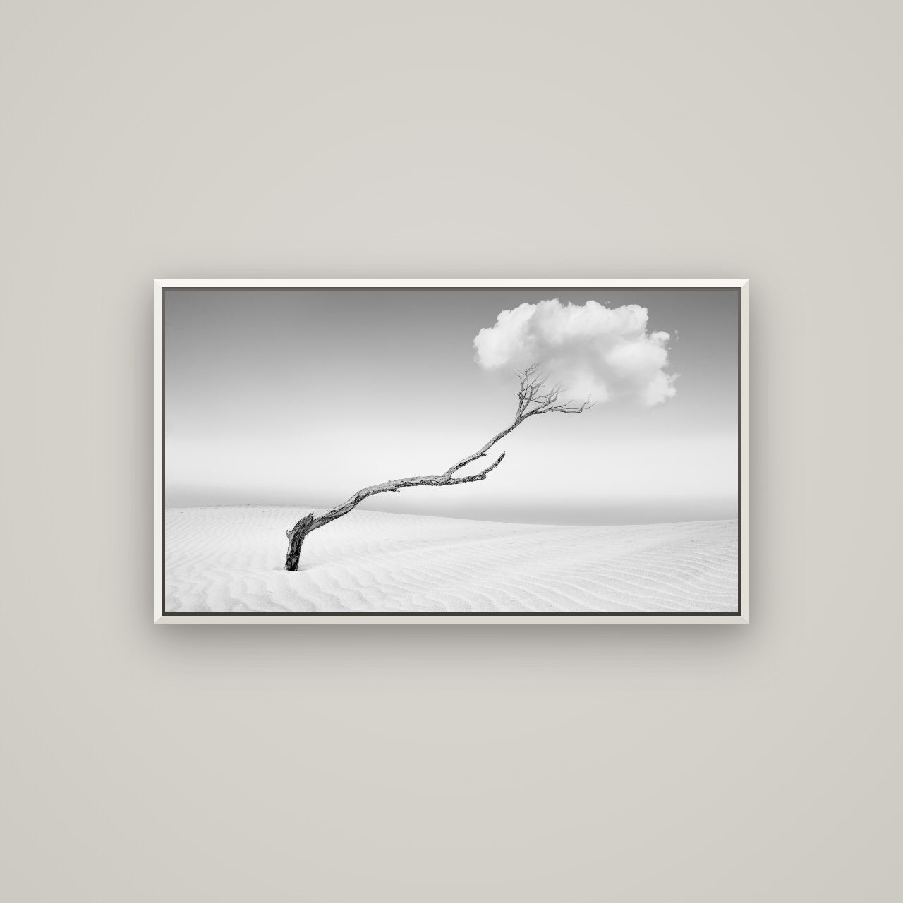 Holding On, Pouto Peninsula — Basel White, 107×60 cm. New Zealand fine art wall art by Stephen Milner.