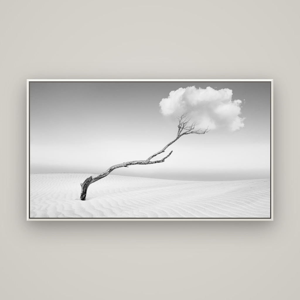 Holding On, Pouto Peninsula — Basel White, 160×90 cm. New Zealand fine art wall art by Stephen Milner.
