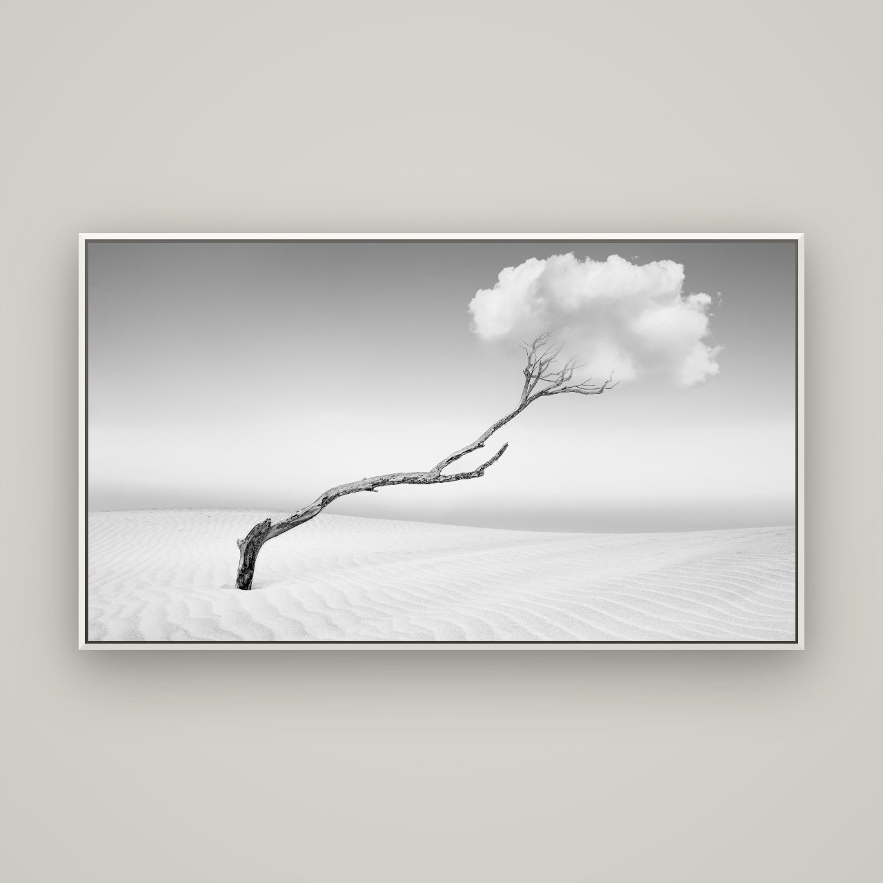 Holding On, Pouto Peninsula — Basel White, 160×90 cm. New Zealand fine art wall art by Stephen Milner.