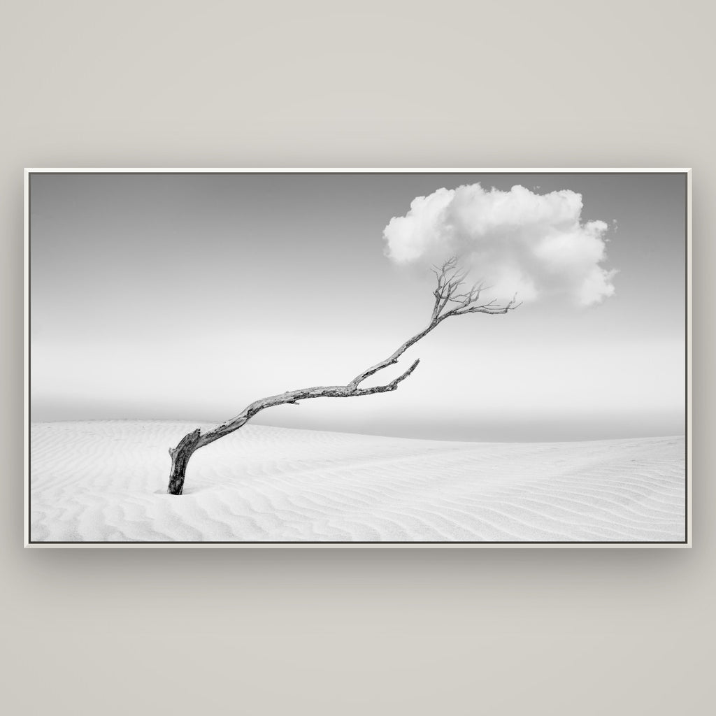Holding On, Pouto Peninsula — Basel White, 196×110 cm. New Zealand fine art wall art by Stephen Milner.
