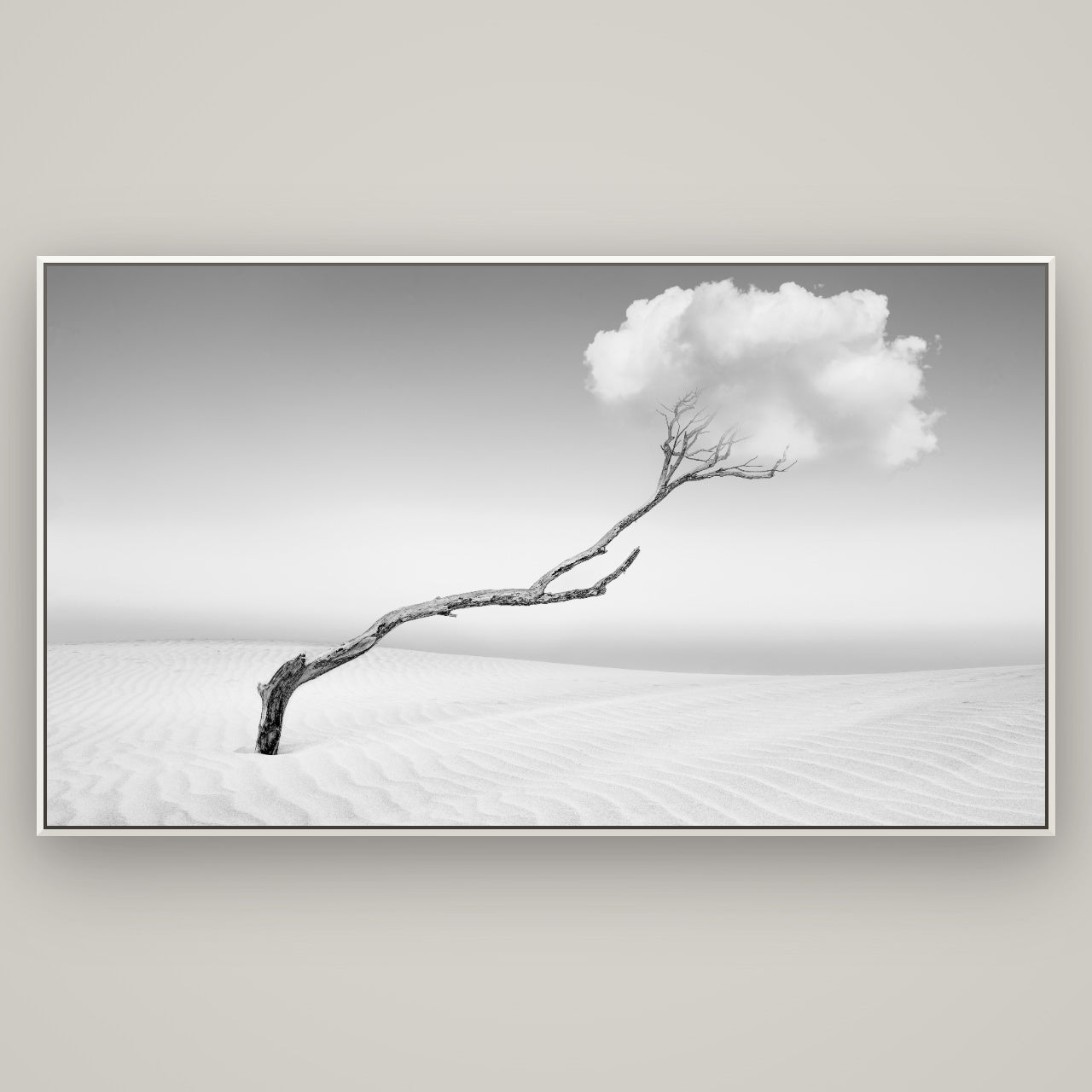 Holding On, Pouto Peninsula — Basel White, 196×110 cm. New Zealand fine art wall art by Stephen Milner.