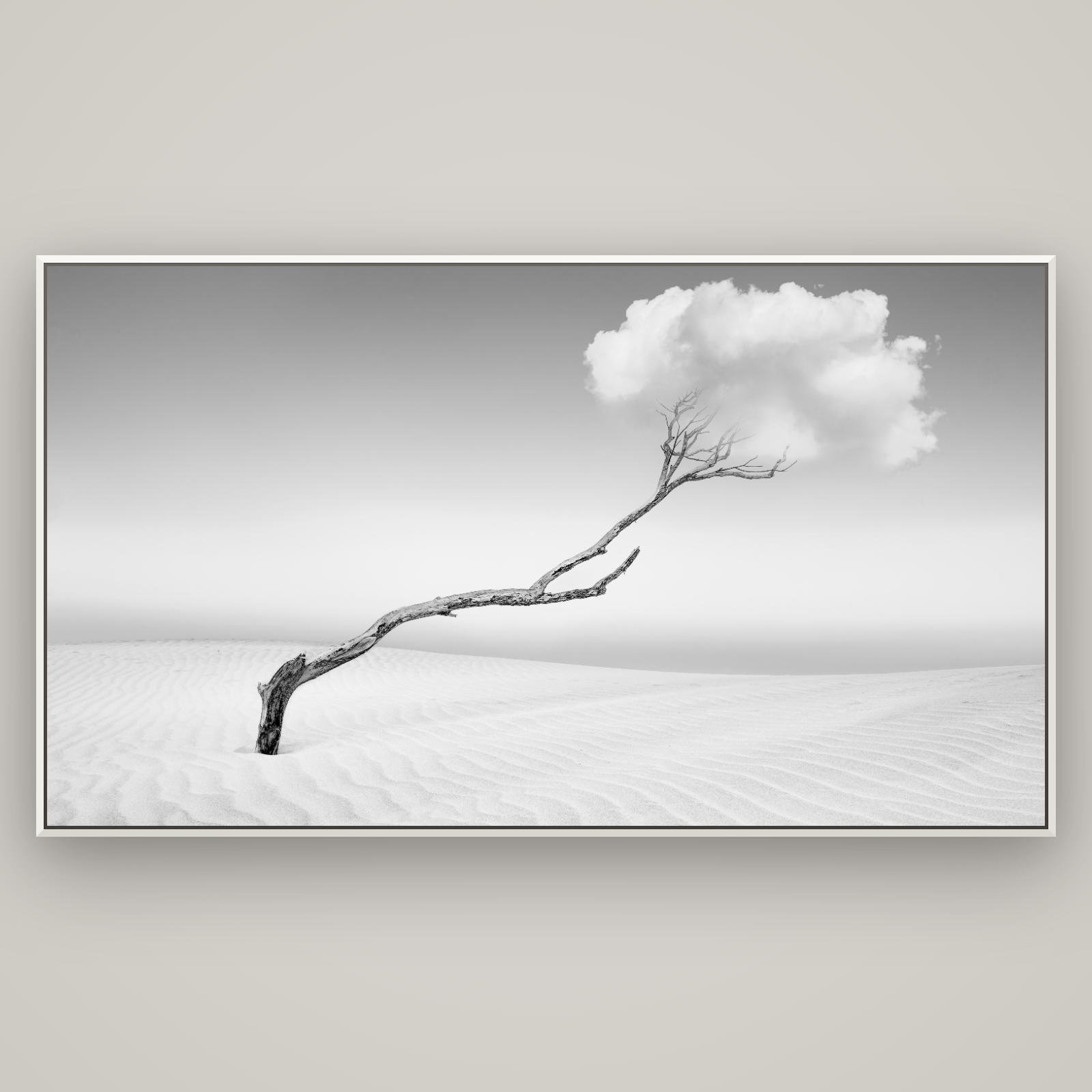 Holding On, Pouto Peninsula — Basel White, 196×110 cm. New Zealand fine art wall art by Stephen Milner.