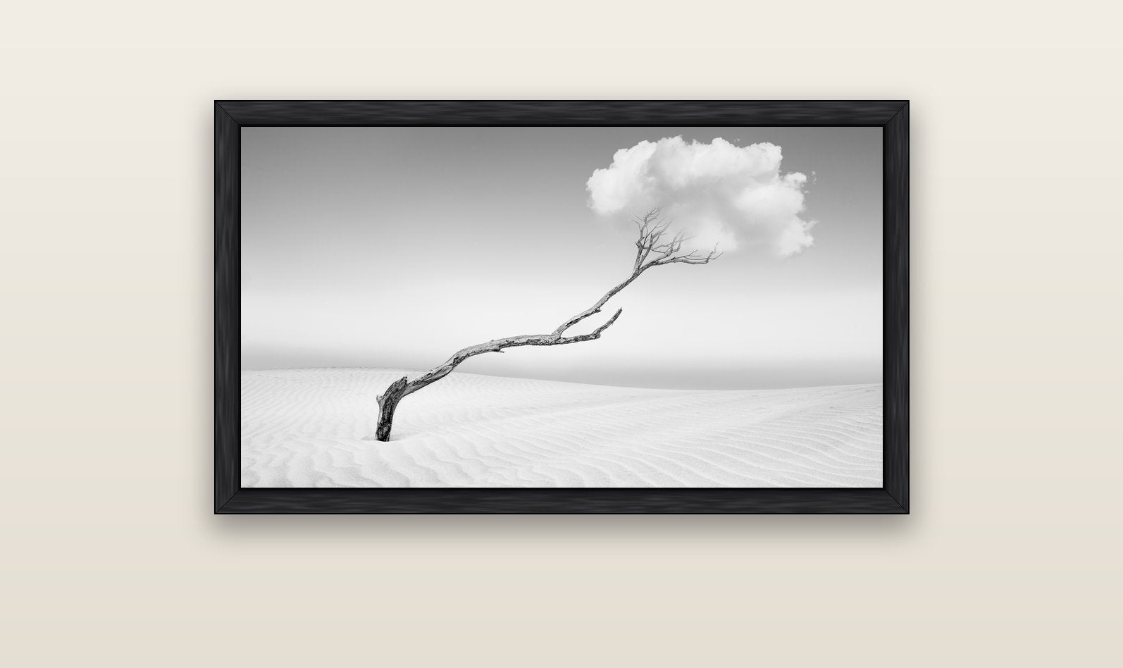 Holding On, Pouto Peninsula — black float frame canvas, 102 × 56 cm. New Zealand fine art landscape wall art by Stephen Milner.