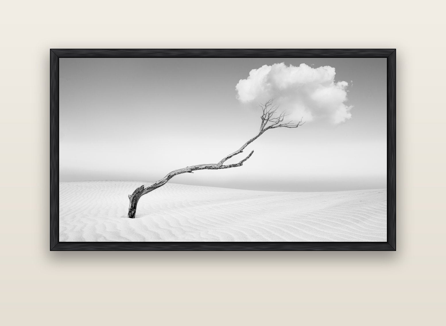 Holding On, Pouto Peninsula — black float frame canvas, 152 × 86 cm. New Zealand fine art landscape wall art by Stephen Milner.