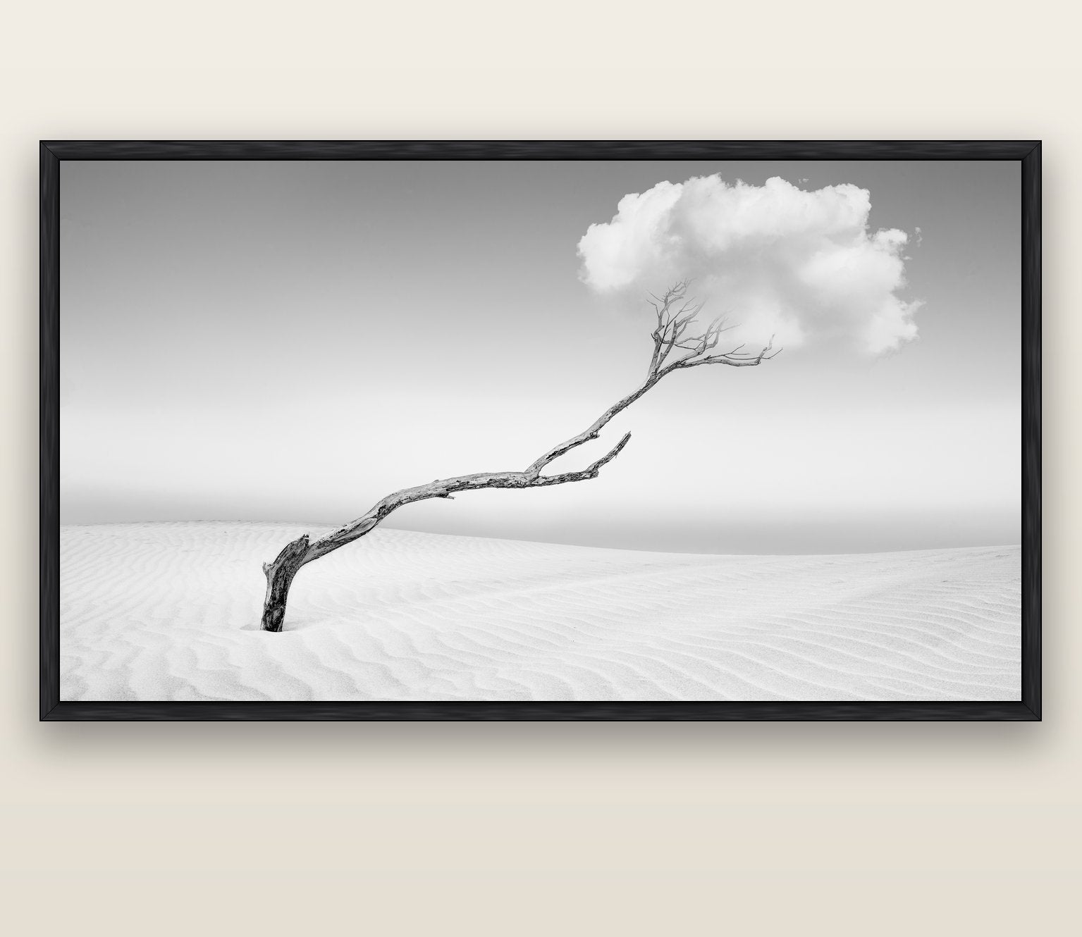 Holding On, Pouto Peninsula — black float frame canvas, 200 × 130 cm. New Zealand fine art landscape wall art by Stephen Milner.