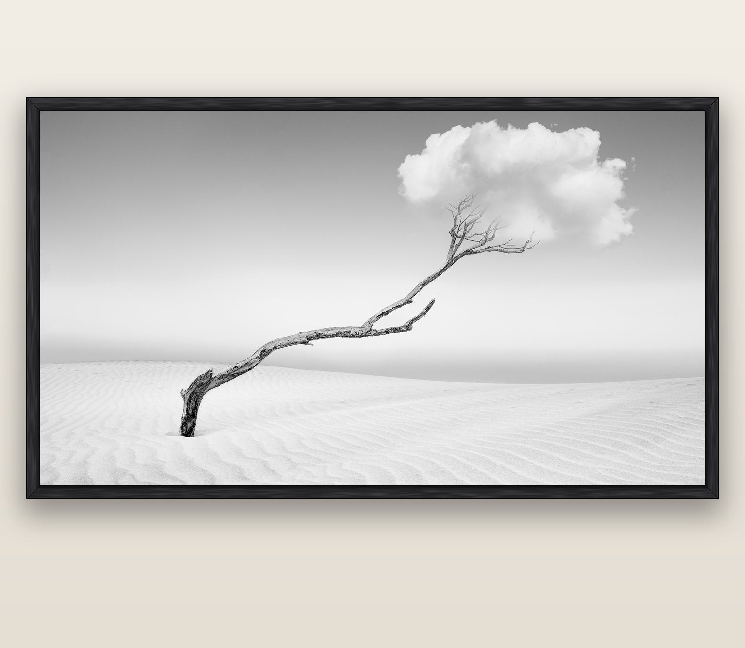 Holding On, Pouto Peninsula — black float frame canvas, 201 × 99 cm. New Zealand fine art landscape wall art by Stephen Milner.