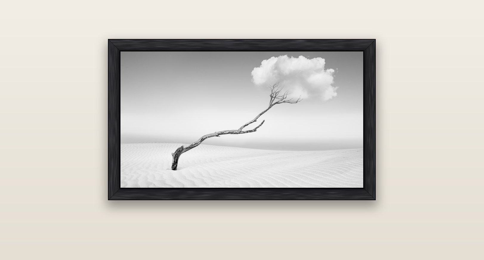 Holding On, Pouto Peninsula — black float frame canvas, 81 × 46 cm. New Zealand fine art landscape wall art by Stephen Milner.