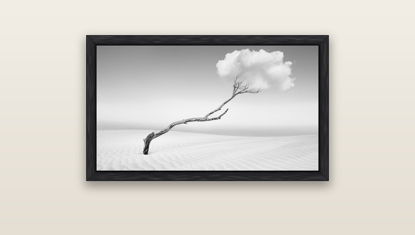 Holding On, Pouto Peninsula — black float frame canvas, 91 × 51 cm. New Zealand fine art landscape wall art by Stephen Milner.