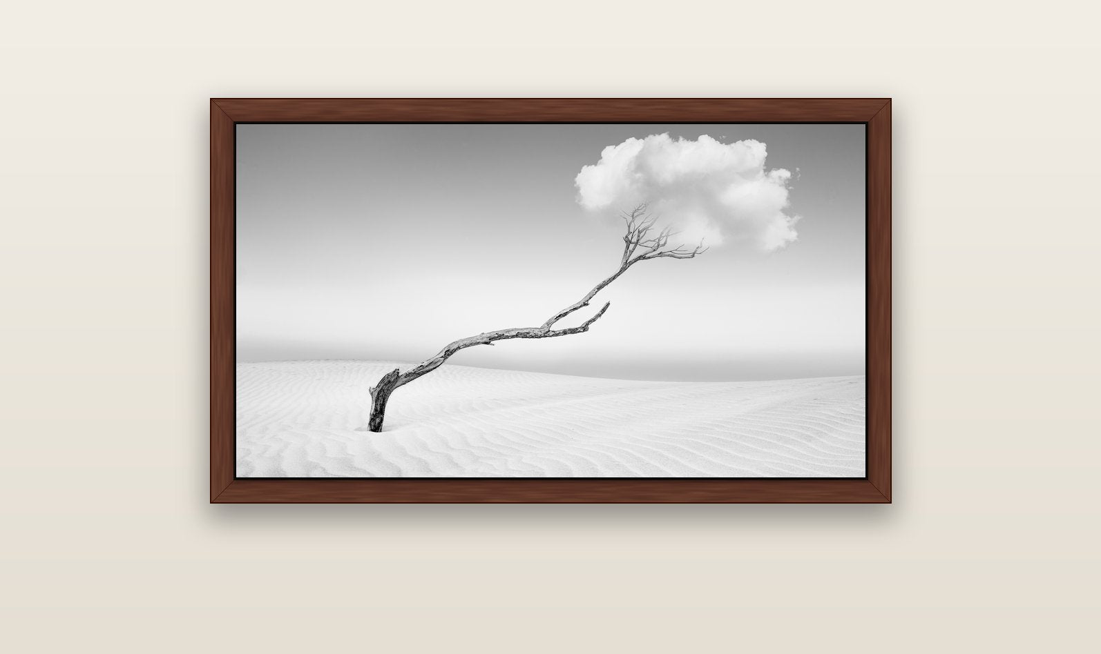 Holding On, Pouto Peninsula — brown float frame canvas, 102 × 56 cm. New Zealand fine art landscape wall art by Stephen Milner.
