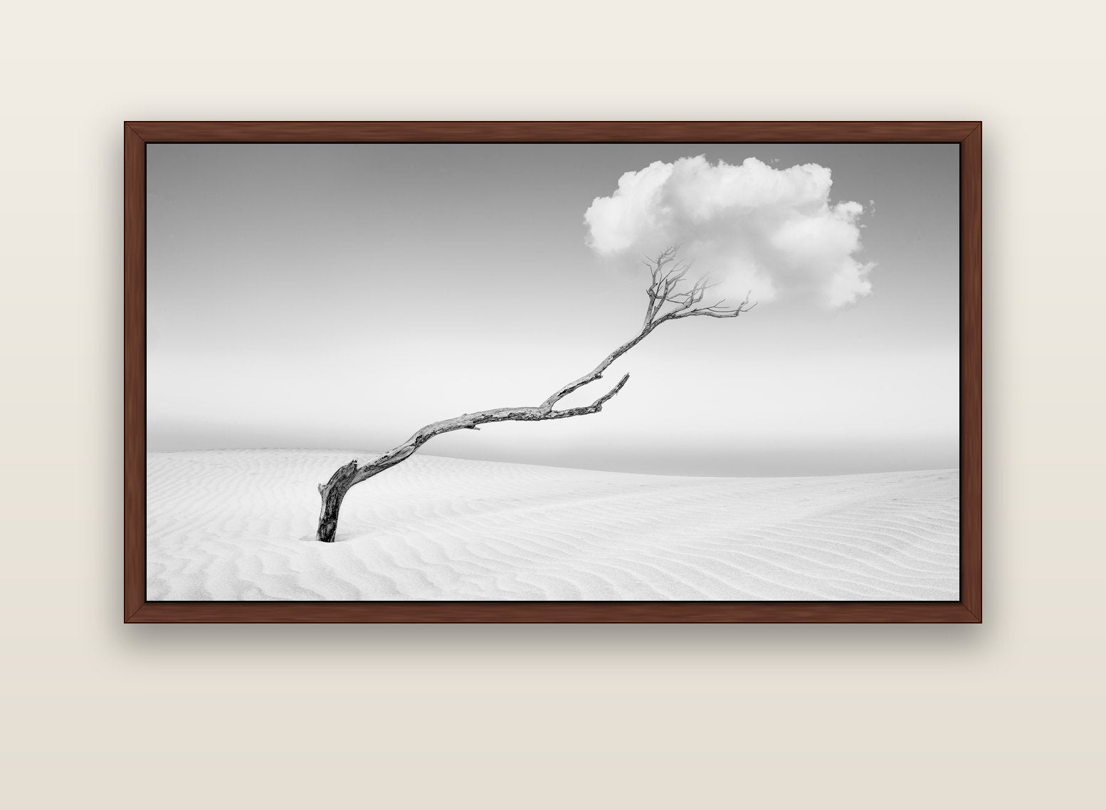 Holding On, Pouto Peninsula — brown float frame canvas, 152 × 86 cm. New Zealand fine art landscape wall art by Stephen Milner.
