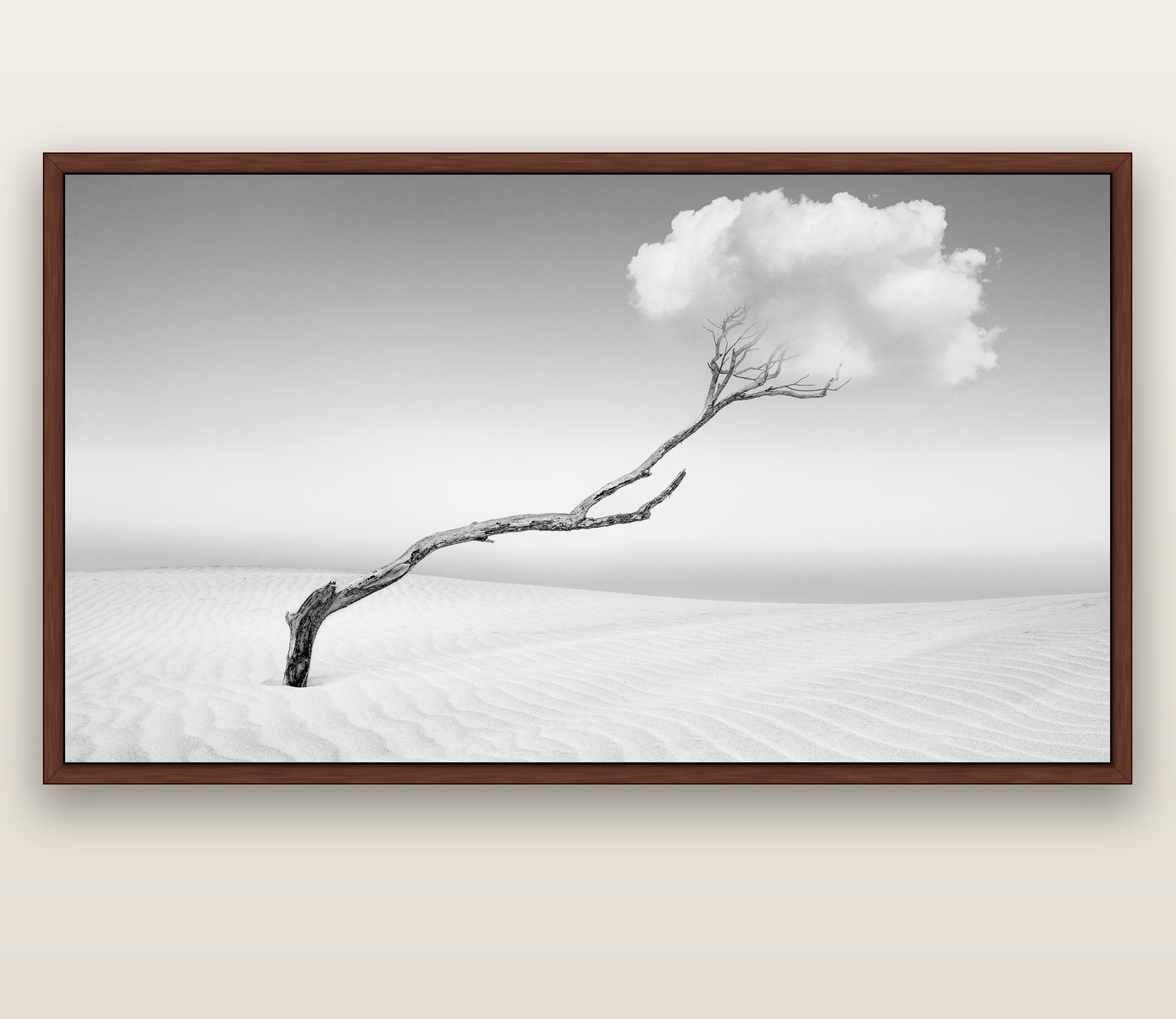 Holding On, Pouto Peninsula — brown float frame canvas, 200 × 130 cm. New Zealand fine art landscape wall art by Stephen Milner.