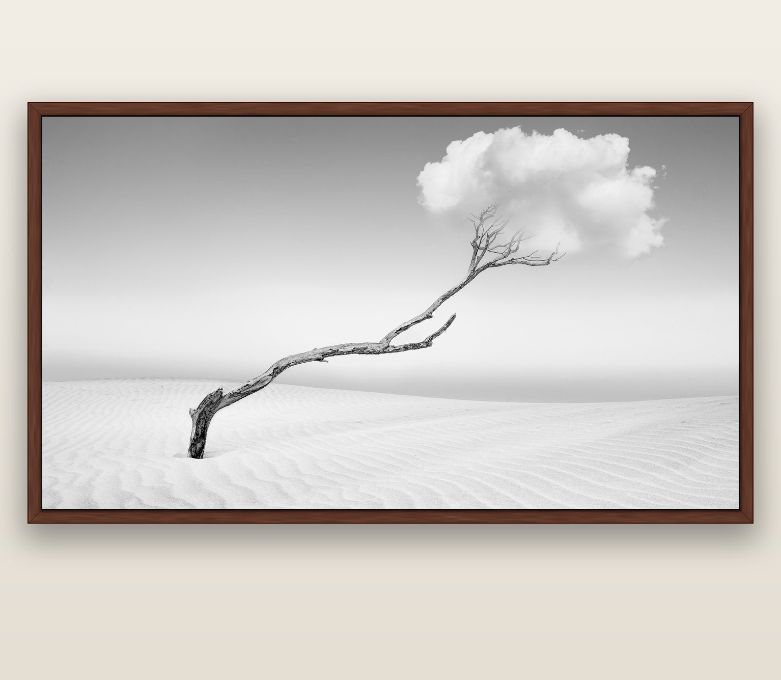 Holding On, Pouto Peninsula — brown float frame canvas, 201 × 99 cm. New Zealand fine art landscape wall art by Stephen Milner.