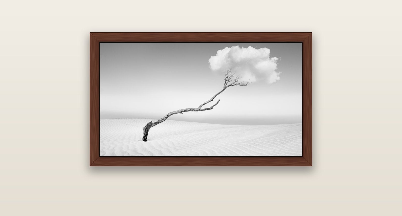 Holding On, Pouto Peninsula — brown float frame canvas, 81 × 46 cm. New Zealand fine art landscape wall art by Stephen Milner.