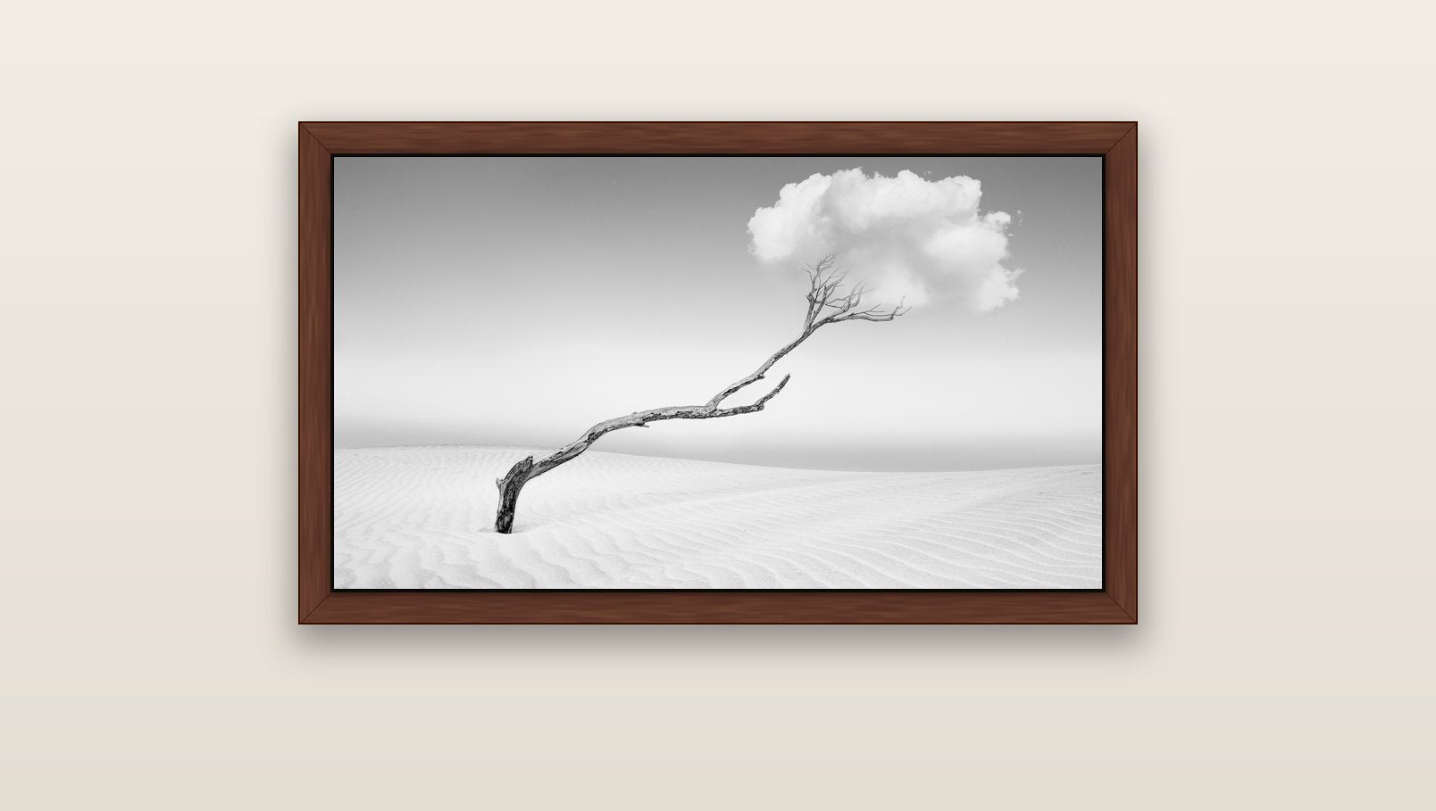 Holding On, Pouto Peninsula — brown float frame canvas, 91 × 51 cm. New Zealand fine art landscape wall art by Stephen Milner.
