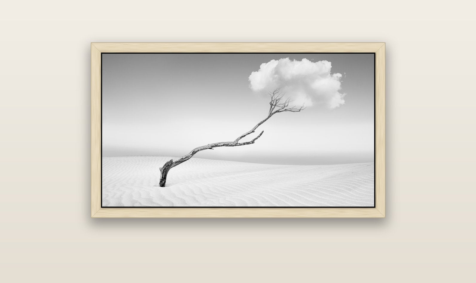 Holding On, Pouto Peninsula — natural float frame canvas, 102 × 56 cm. New Zealand fine art landscape wall art by Stephen Milner.