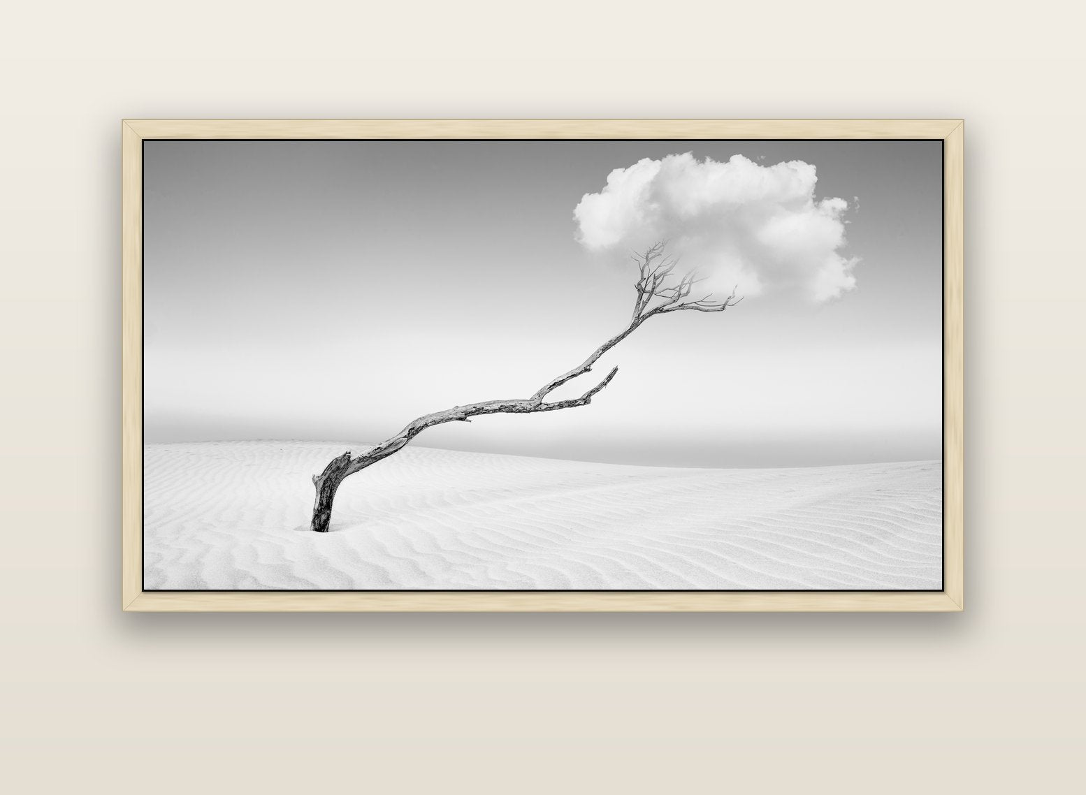 Holding On, Pouto Peninsula — natural float frame canvas, 152 × 86 cm. New Zealand fine art landscape wall art by Stephen Milner.