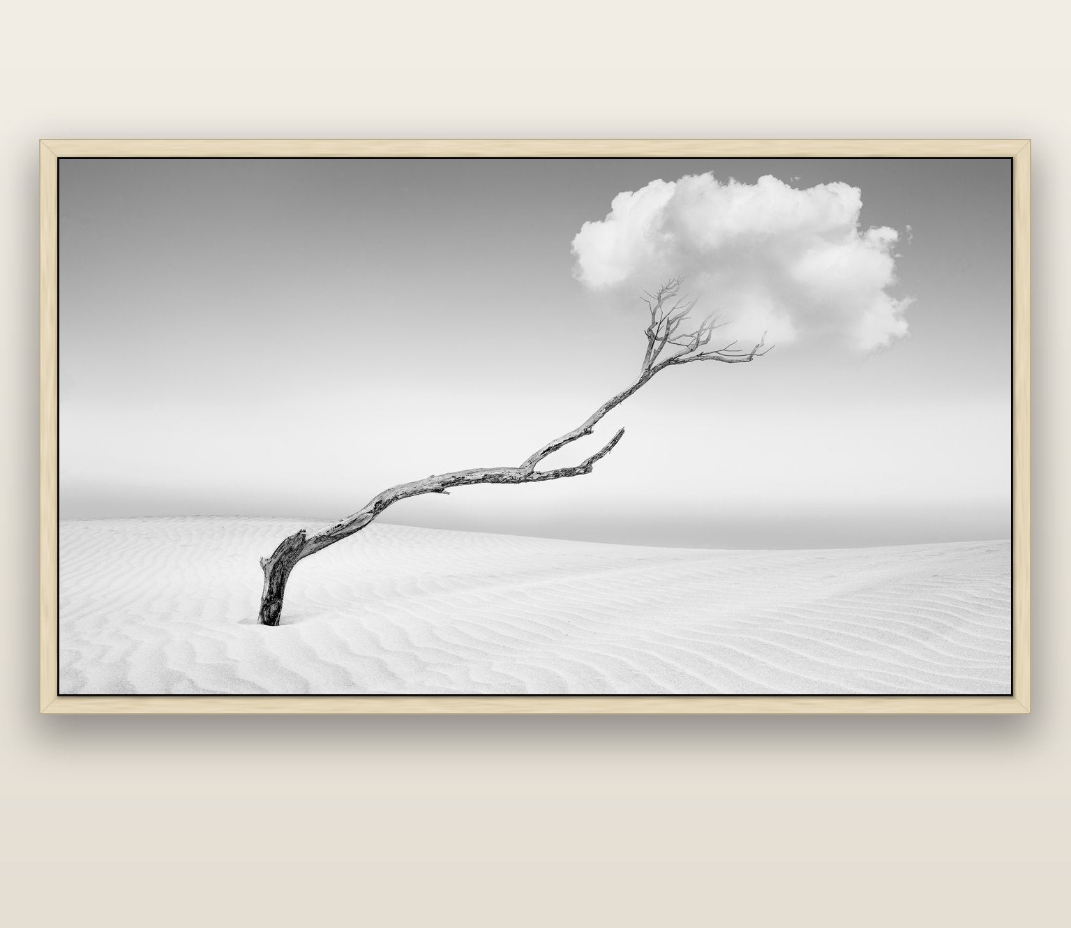 Holding On, Pouto Peninsula — natural float frame canvas, 200 × 130 cm. New Zealand fine art landscape wall art by Stephen Milner.