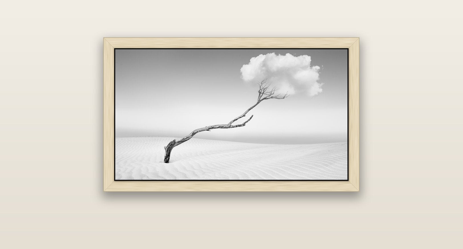 Holding On, Pouto Peninsula — natural float frame canvas, 81 × 46 cm. New Zealand fine art landscape wall art by Stephen Milner.