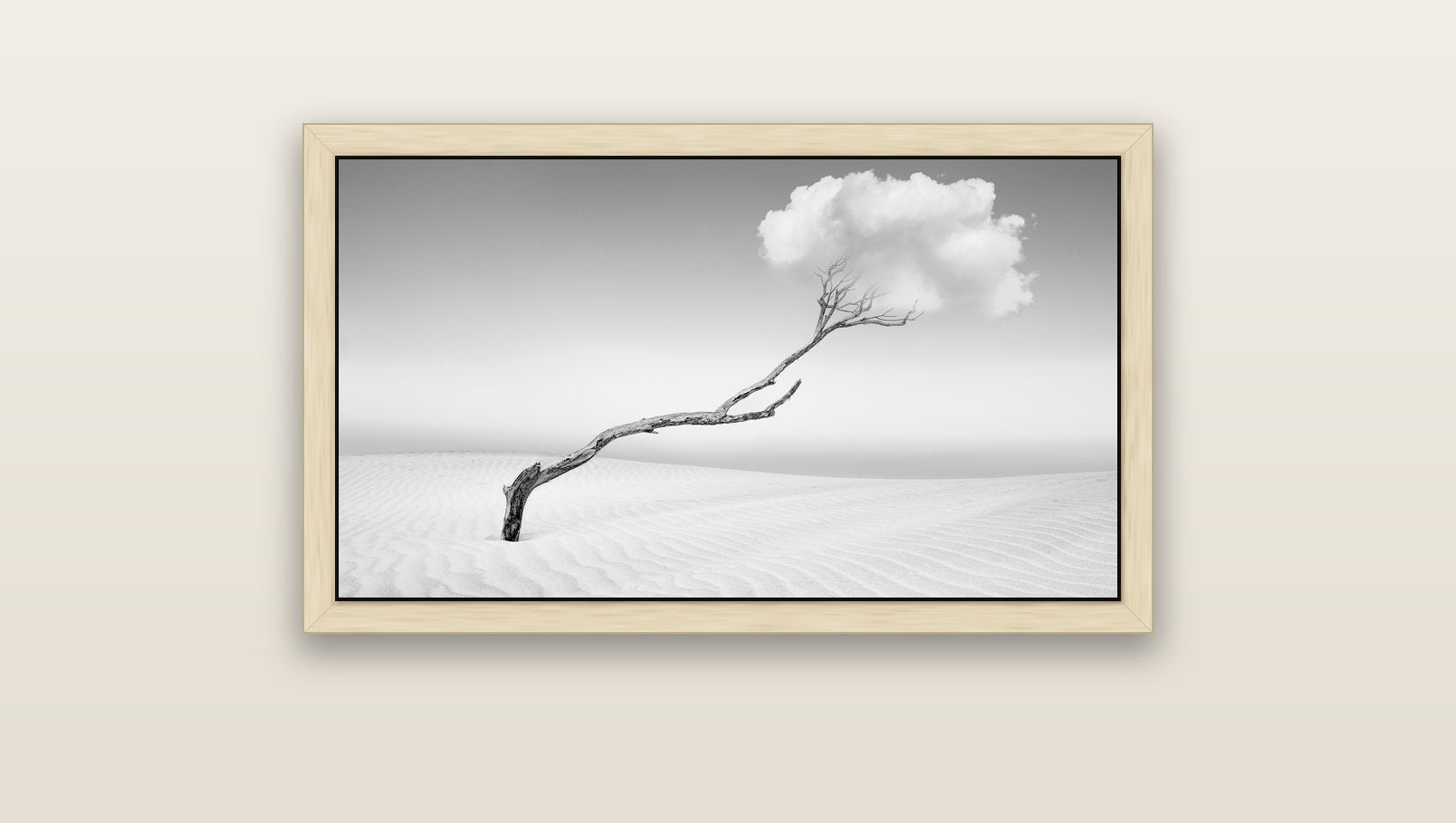 Holding On, Pouto Peninsula — natural float frame canvas, 91 × 51 cm. New Zealand fine art landscape wall art by Stephen Milner.