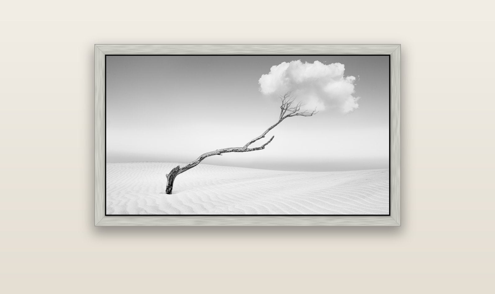 Holding On, Pouto Peninsula — silver float frame canvas, 102 × 56 cm. New Zealand fine art landscape wall art by Stephen Milner.