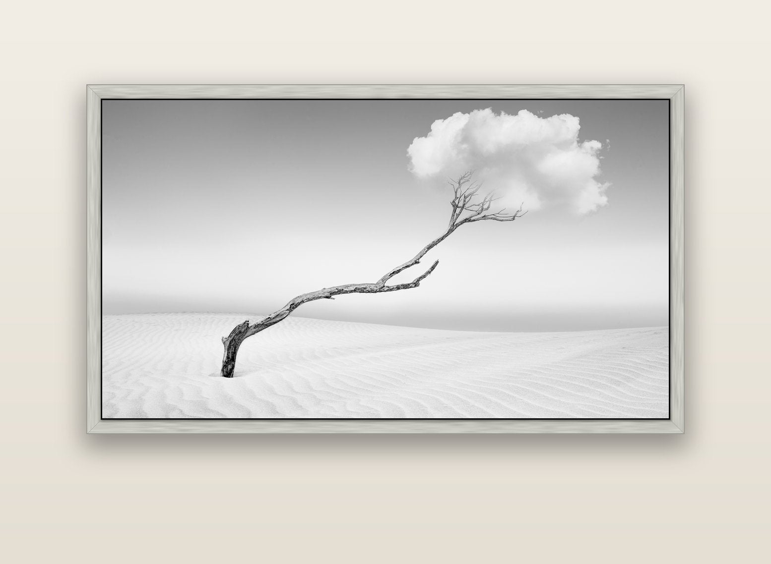 Holding On, Pouto Peninsula — silver float frame canvas, 152 × 86 cm. New Zealand fine art landscape wall art by Stephen Milner.
