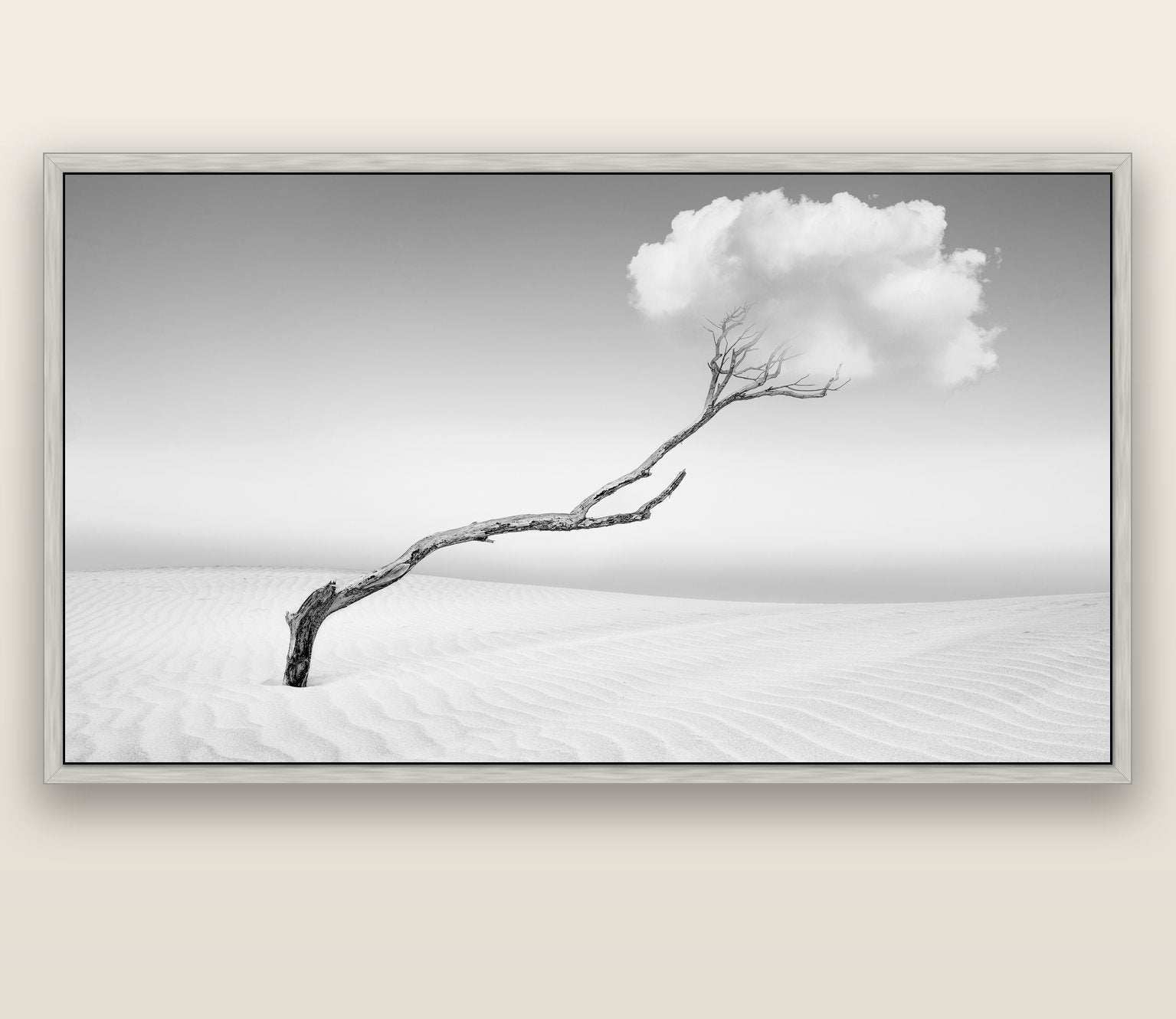 Holding On, Pouto Peninsula — silver float frame canvas, 200 × 130 cm. New Zealand fine art landscape wall art by Stephen Milner.