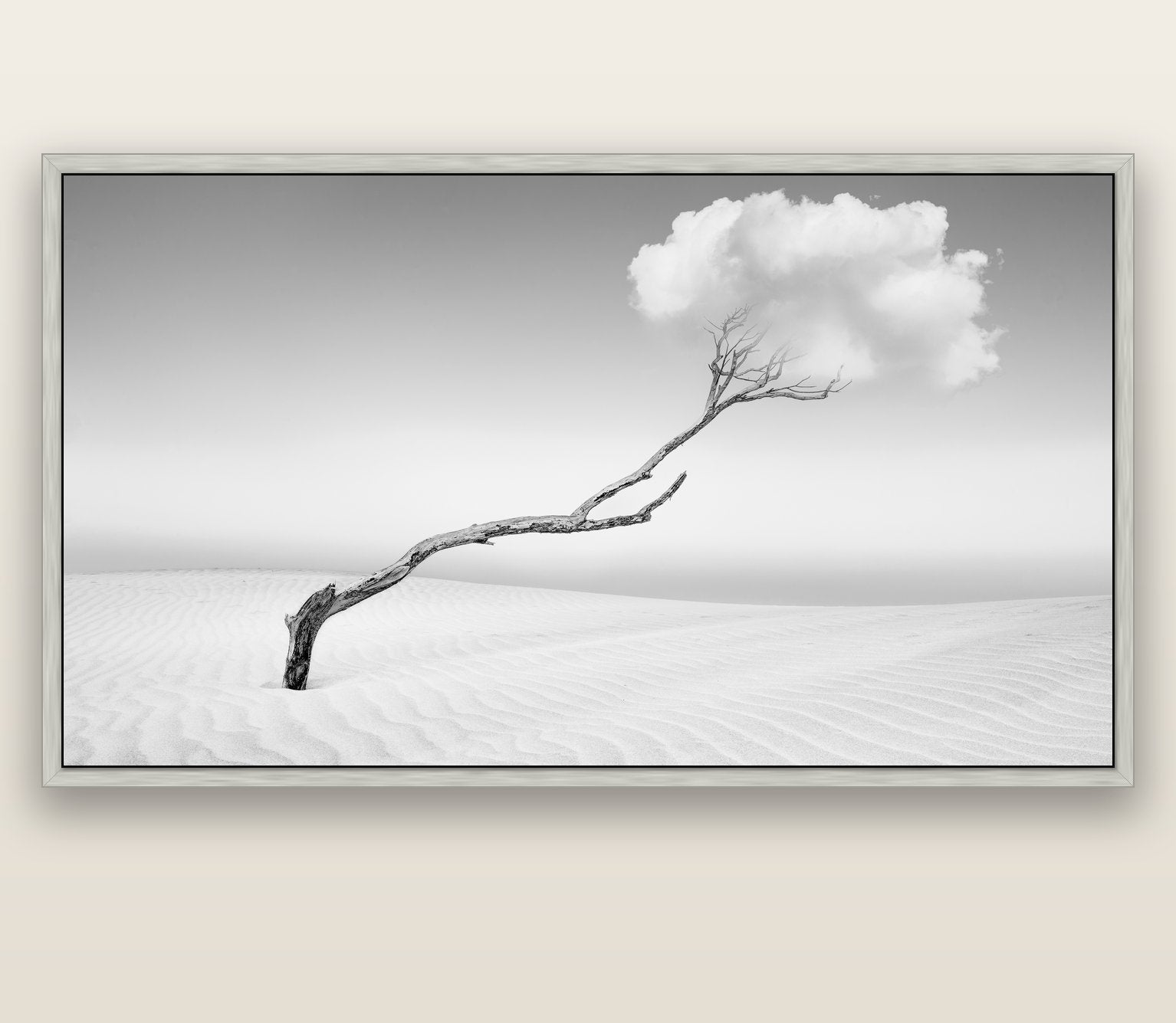 Holding On, Pouto Peninsula — silver float frame canvas, 201 × 99 cm. New Zealand fine art landscape wall art by Stephen Milner.
