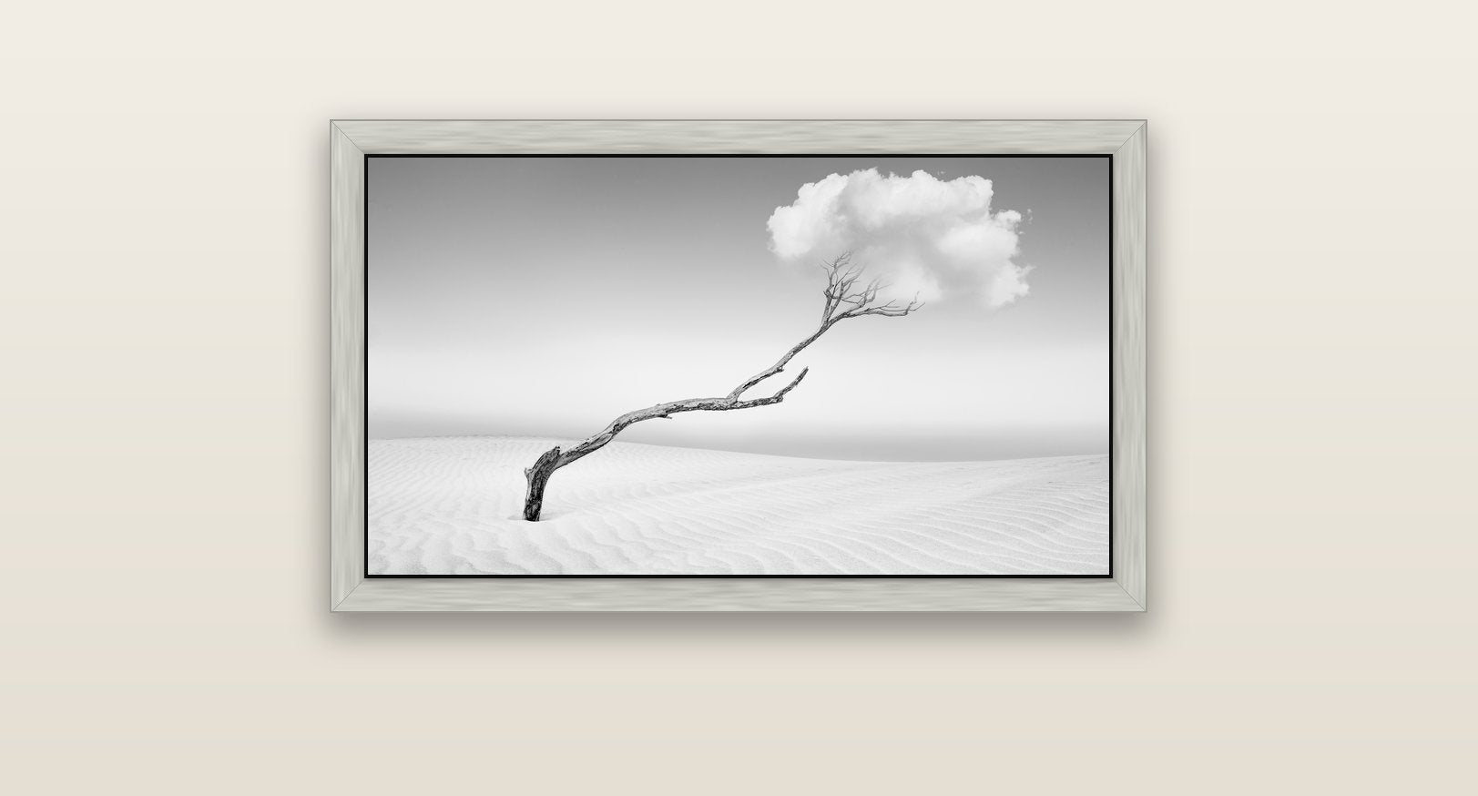 Holding On, Pouto Peninsula — silver float frame canvas, 81 × 46 cm. New Zealand fine art landscape wall art by Stephen Milner.