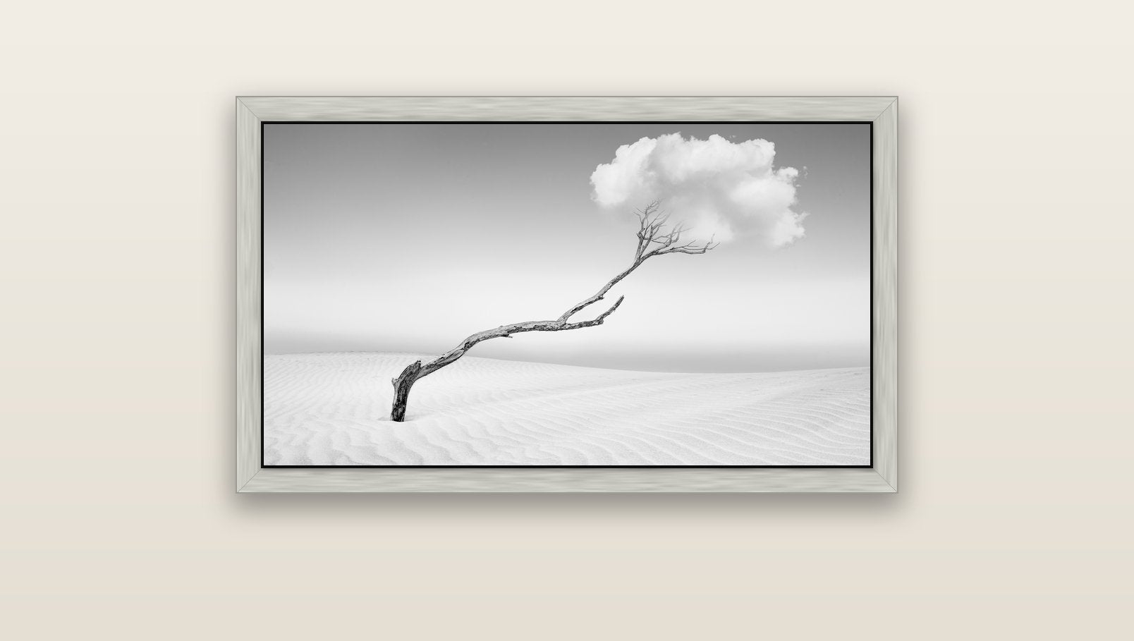 Holding On, Pouto Peninsula — silver float frame canvas, 91 × 51 cm. New Zealand fine art landscape wall art by Stephen Milner.