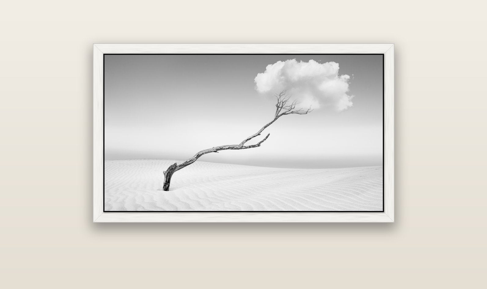Holding On, Pouto Peninsula — white float frame canvas, 102 × 56 cm. New Zealand fine art landscape wall art by Stephen Milner.
