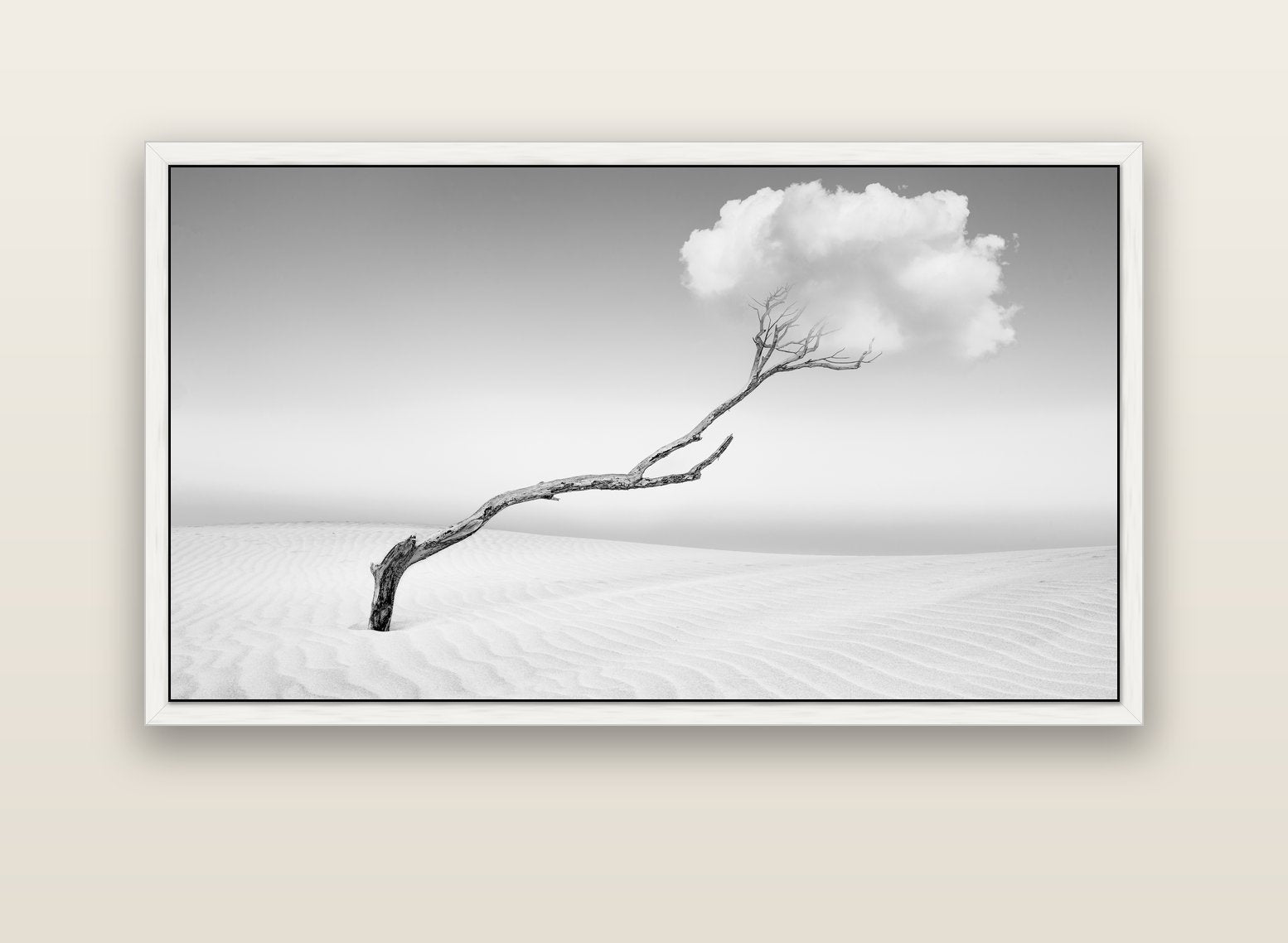 Holding On, Pouto Peninsula — white float frame canvas, 152 × 86 cm. New Zealand fine art landscape wall art by Stephen Milner.