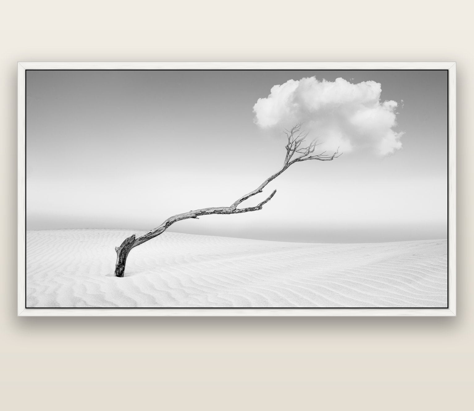Holding On, Pouto Peninsula — white float frame canvas, 200 × 130 cm. New Zealand fine art landscape wall art by Stephen Milner.