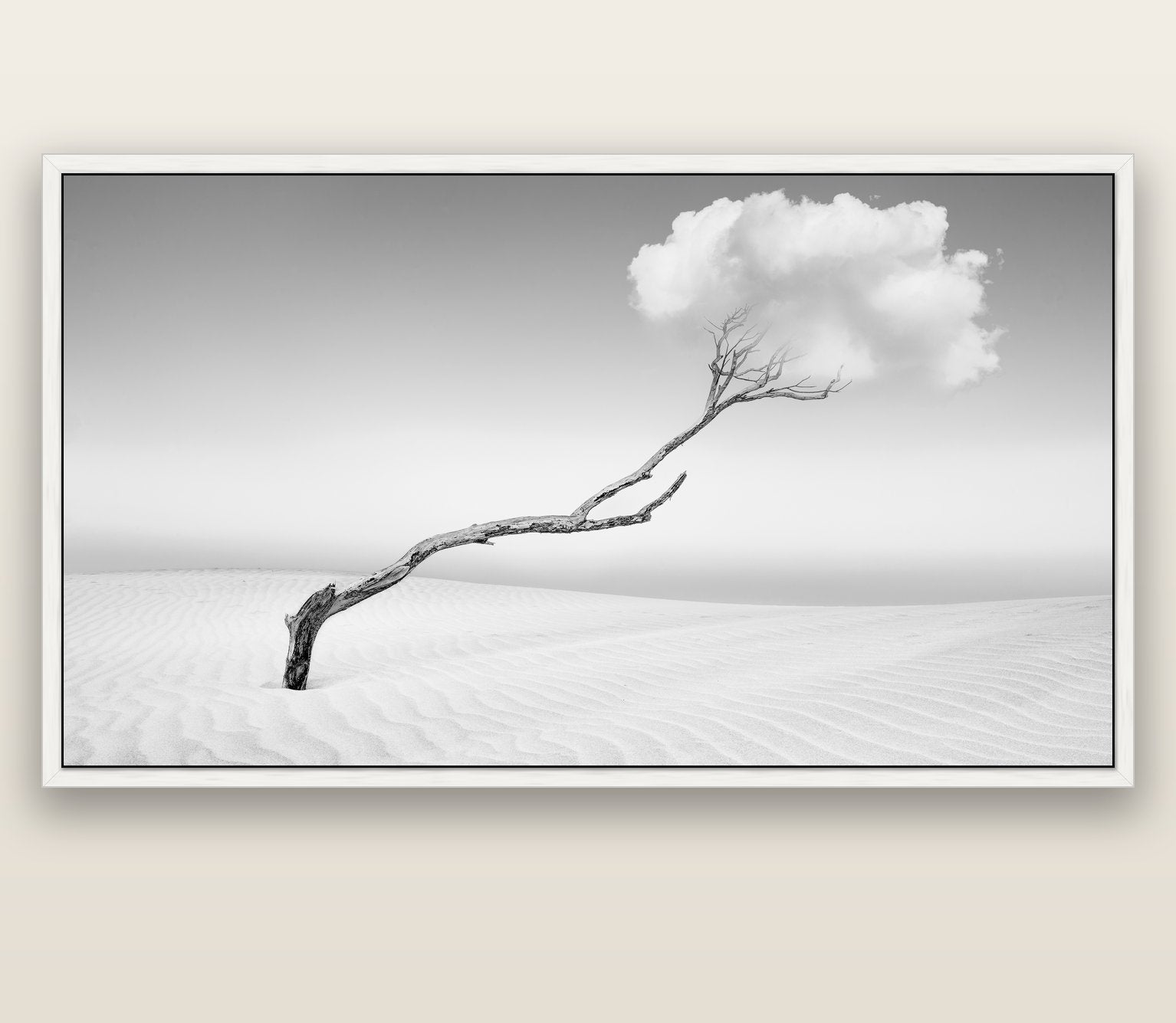 Holding On, Pouto Peninsula — white float frame canvas, 201 × 99 cm. New Zealand fine art landscape wall art by Stephen Milner.
