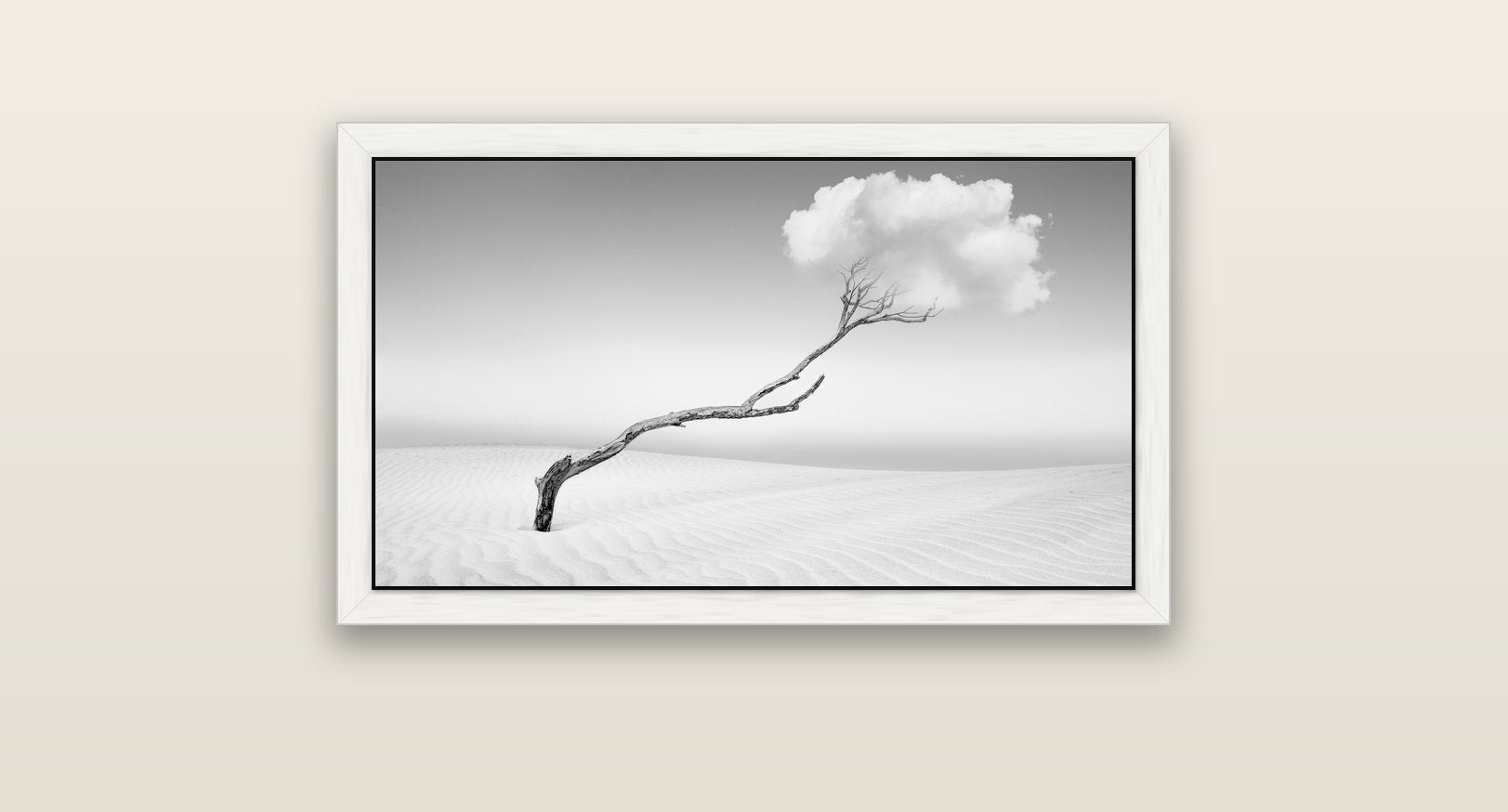 Holding On, Pouto Peninsula — white float frame canvas, 81 × 46 cm. New Zealand fine art landscape wall art by Stephen Milner.
