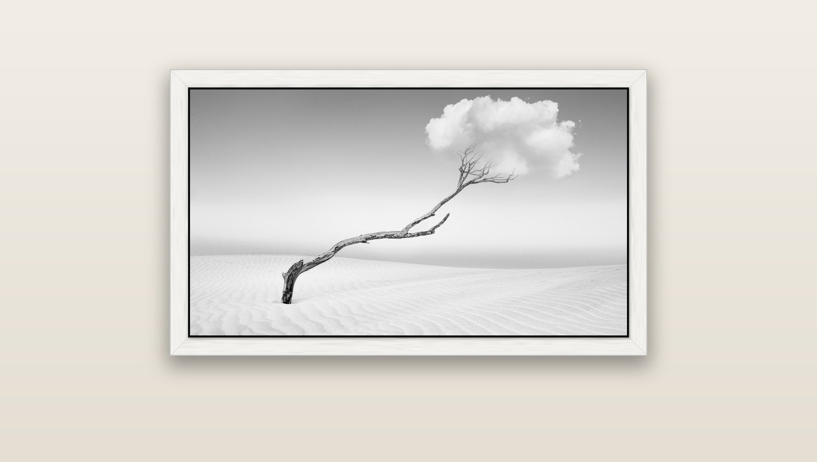 Holding On, Pouto Peninsula — white float frame canvas, 91 × 51 cm. New Zealand fine art landscape wall art by Stephen Milner.