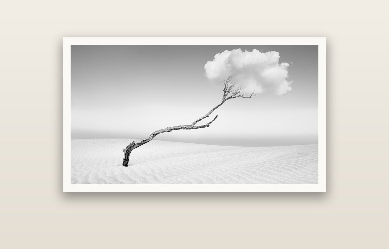 Holding On, Pouto Peninsula — Hahnemühle fine art print, 120 × 70 cm. New Zealand fine art landscape photography by Stephen Milner.
