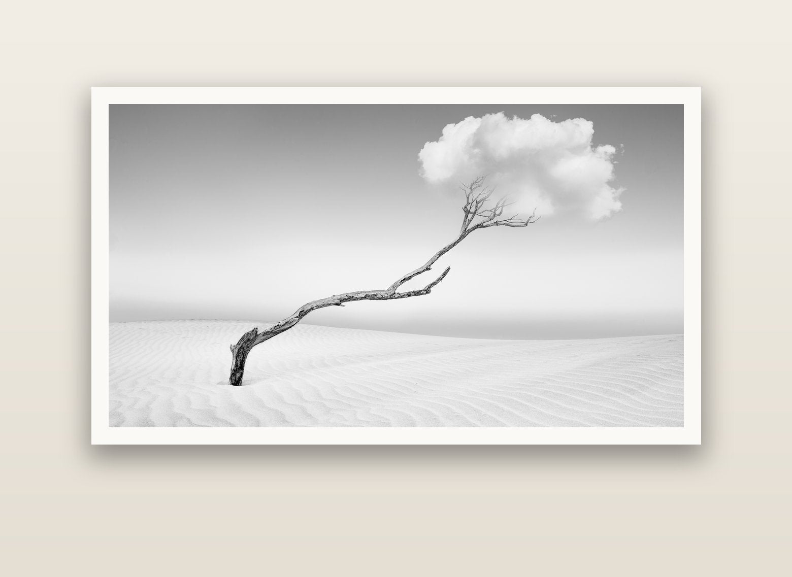 Holding On, Pouto Peninsula — Hahnemühle fine art print, 150 × 75 cm. New Zealand fine art landscape photography by Stephen Milner.