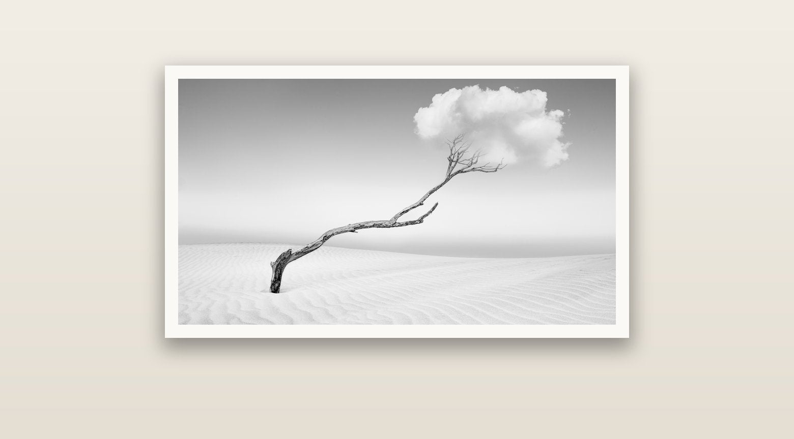 Holding On, Pouto Peninsula — Hahnemühle fine art print, 91 × 51 cm. New Zealand fine art landscape photography by Stephen Milner.