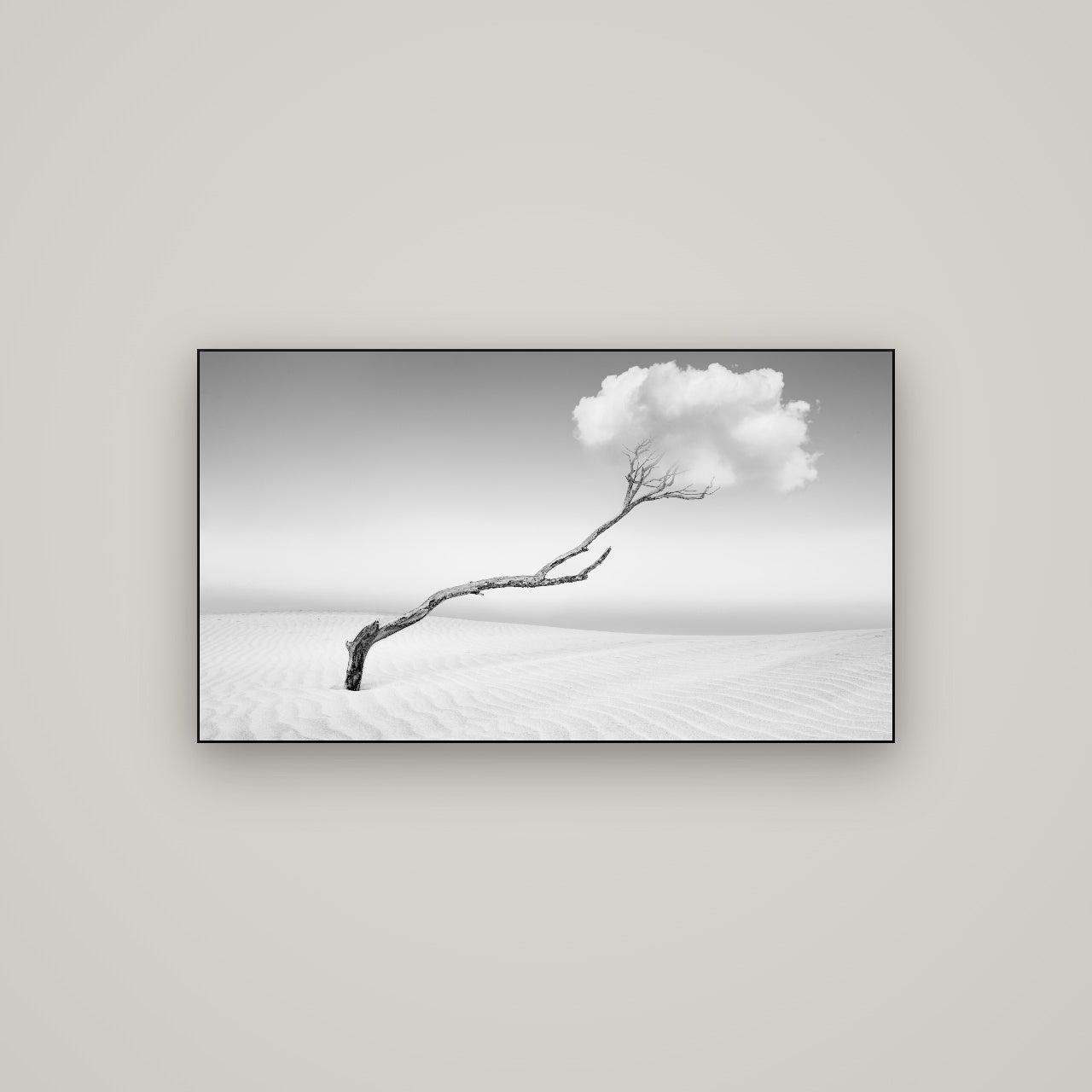 Holding On, Pouto Peninsula — Slimline Black, 107×60 cm. New Zealand fine art wall art by Stephen Milner.