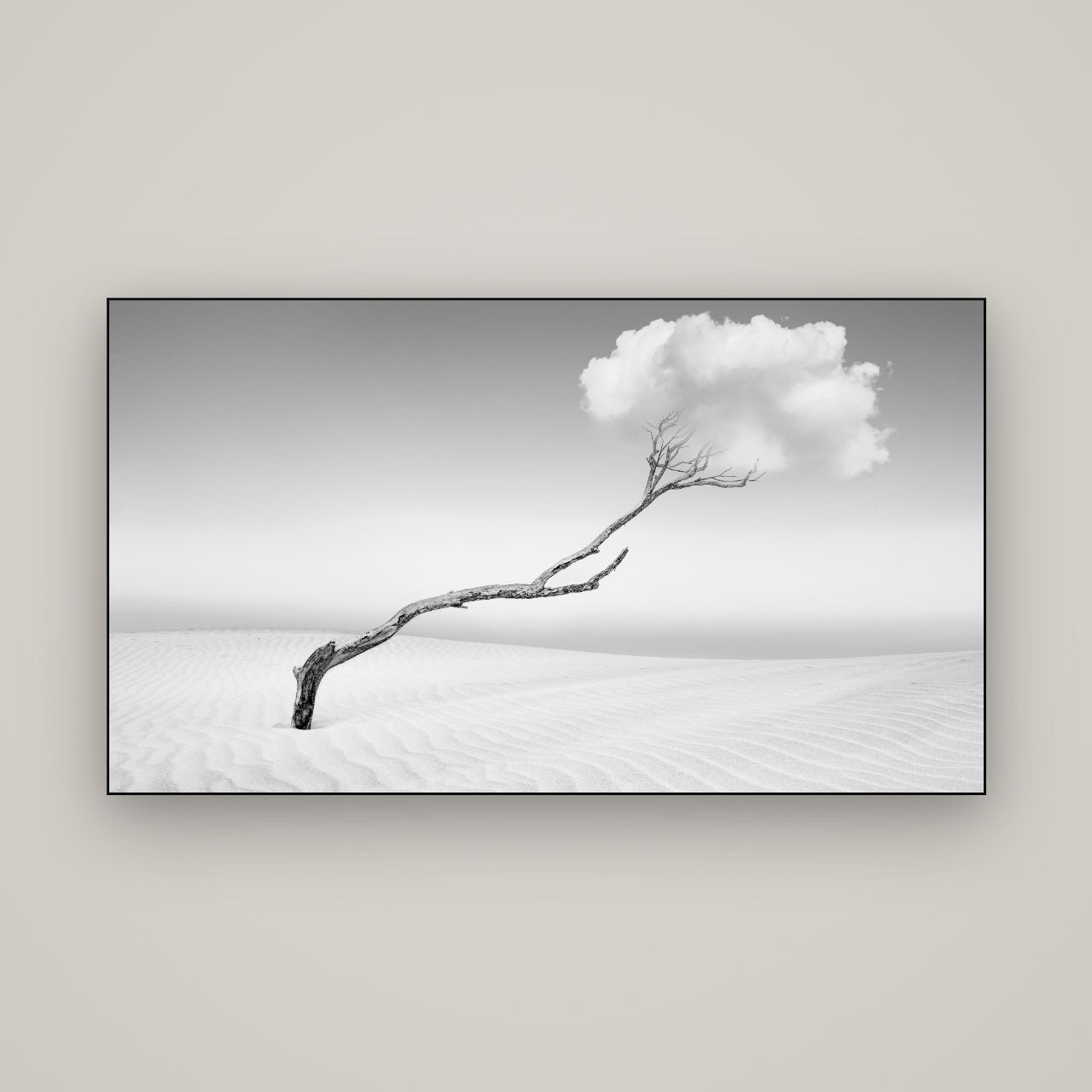 Holding On, Pouto Peninsula — Slimline Black, 160×90 cm. New Zealand fine art wall art by Stephen Milner.