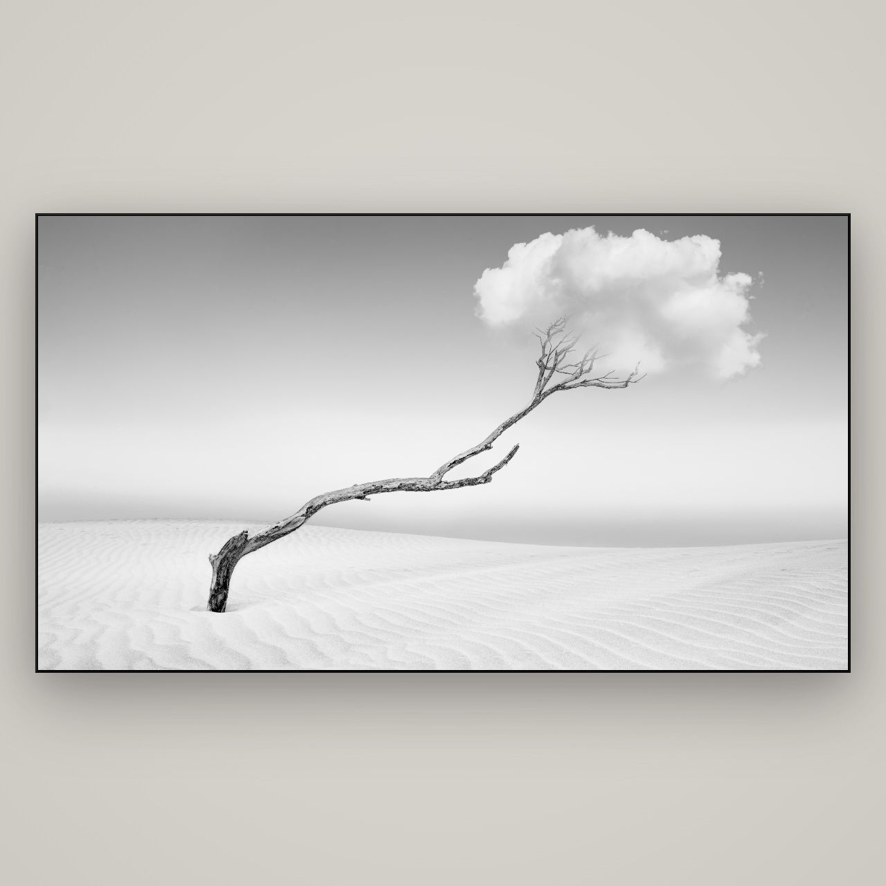 Holding On, Pouto Peninsula — Slimline Black, 196×110 cm. New Zealand fine art wall art by Stephen Milner.