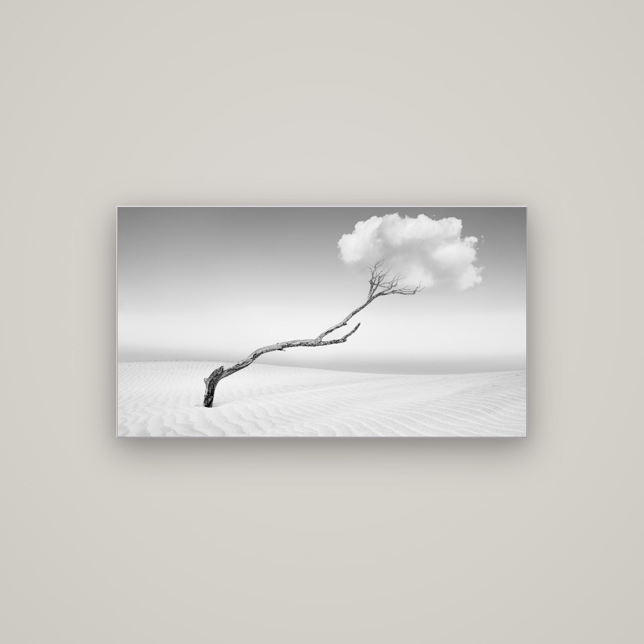 Holding On, Pouto Peninsula — Slimline Silver, 107×60 cm. New Zealand fine art wall art by Stephen Milner.