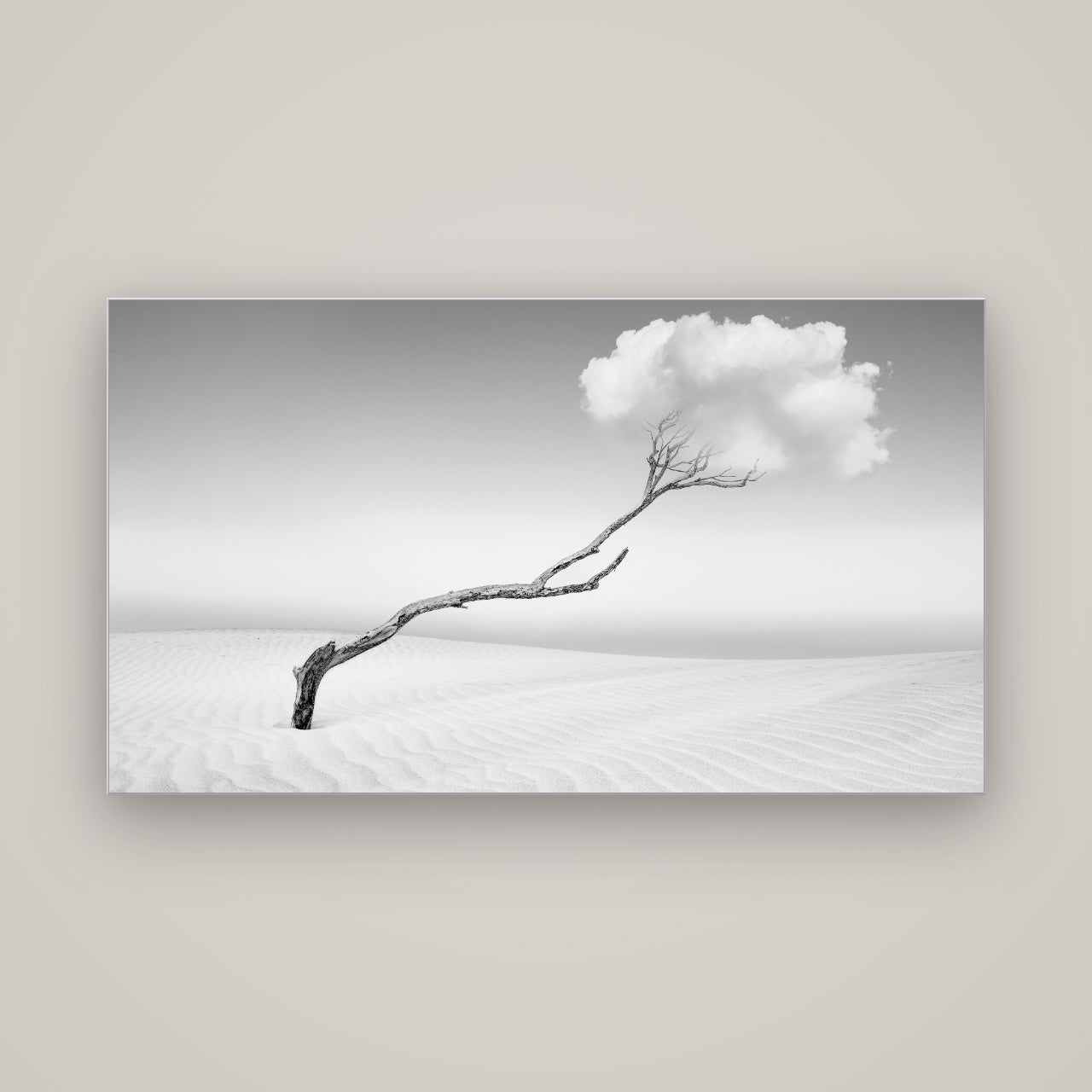 Holding On, Pouto Peninsula — Slimline Silver, 160×90 cm. New Zealand fine art wall art by Stephen Milner.