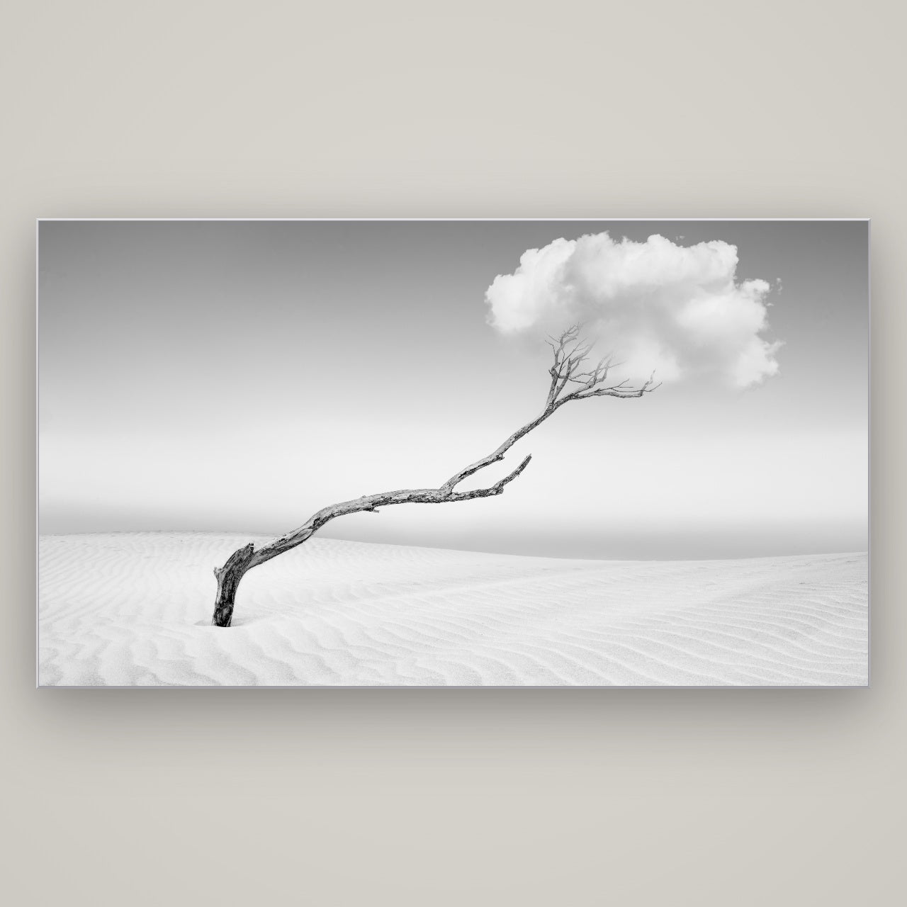 Holding On, Pouto Peninsula — Slimline Silver, 196×110 cm. New Zealand fine art wall art by Stephen Milner.