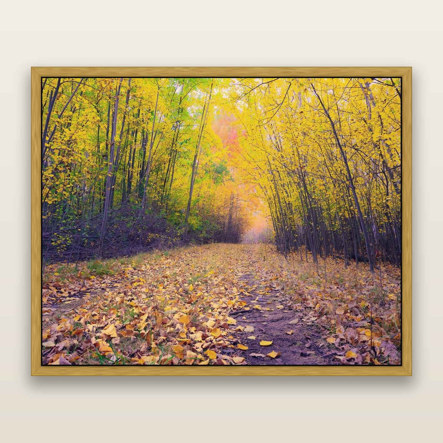 Leafy Lanes, Mackenzie Country — framed metallic canvas print, Antique Gold frame. New Zealand fine art landscape wall art by Stephen Milner.