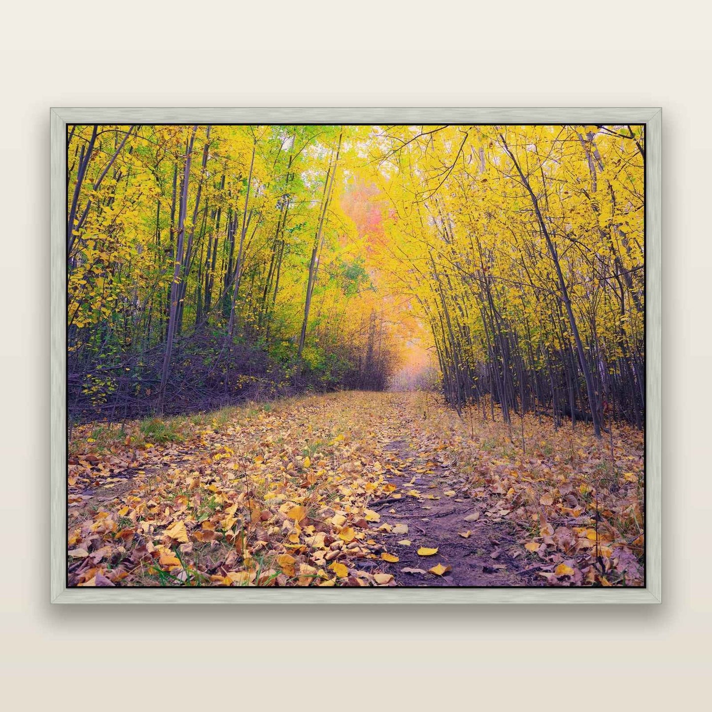 Leafy Lanes, Mackenzie Country — framed metallic canvas print, Antique Silver frame. New Zealand fine art landscape wall art by Stephen Milner.