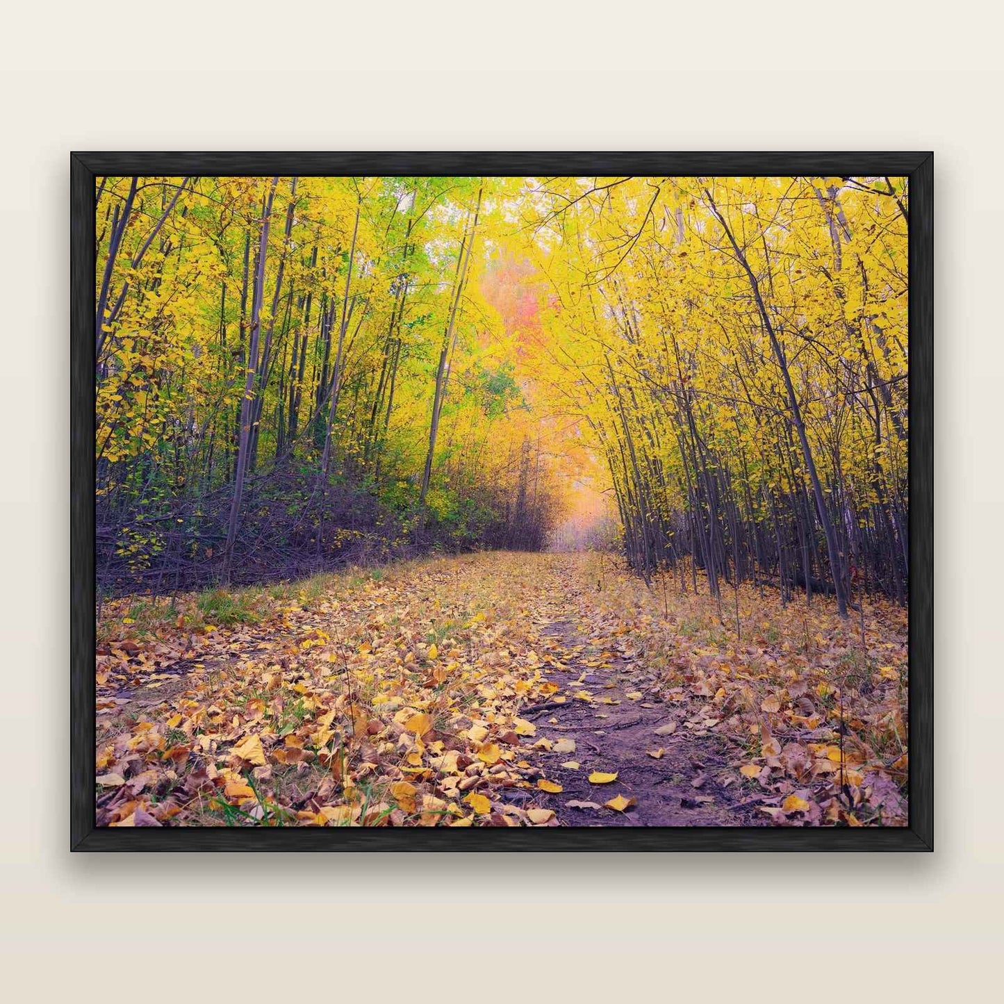Leafy Lanes, Mackenzie Country — framed metallic canvas print, Black frame. New Zealand fine art landscape wall art by Stephen Milner.